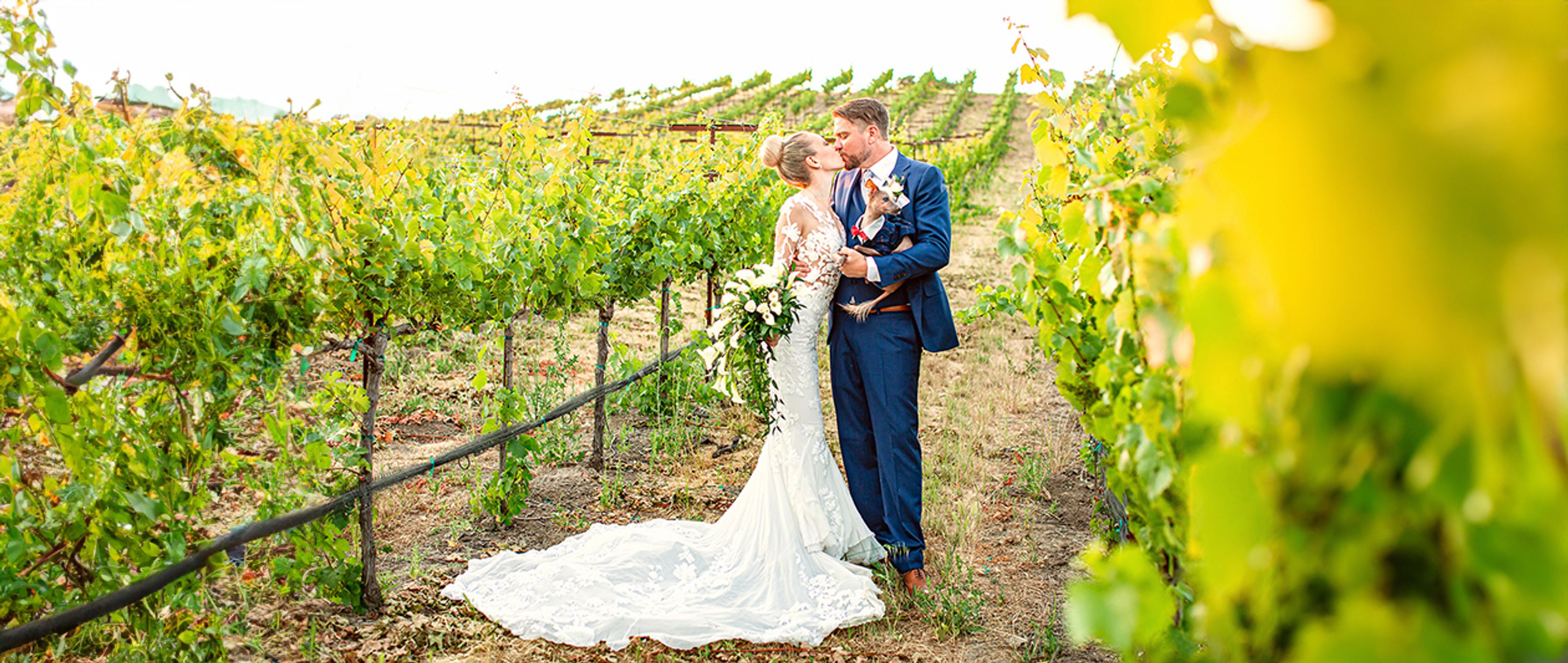 Cover photo of Mission Peak Wine
