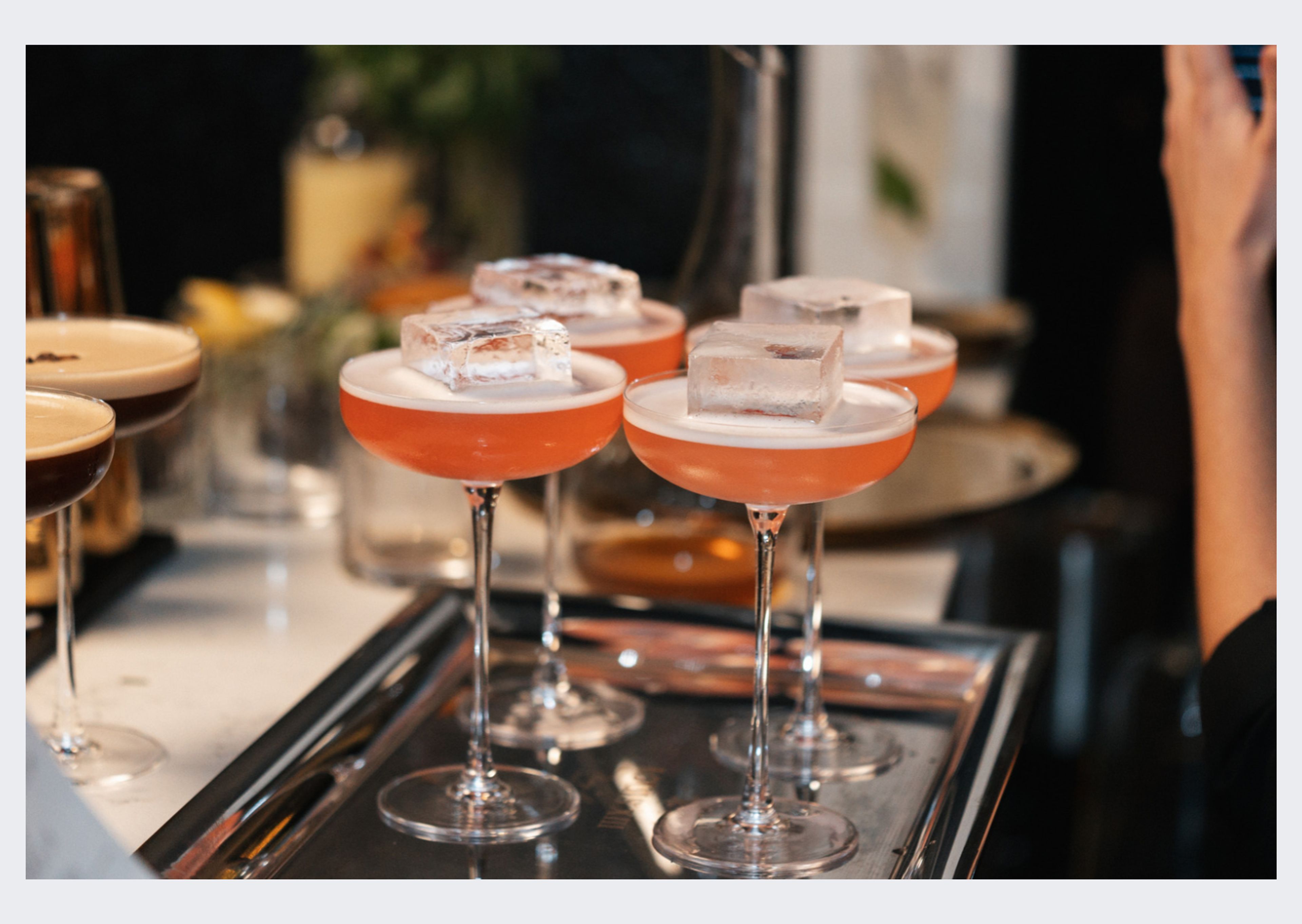 Cover photo of ZOOZ Cocktail Garden