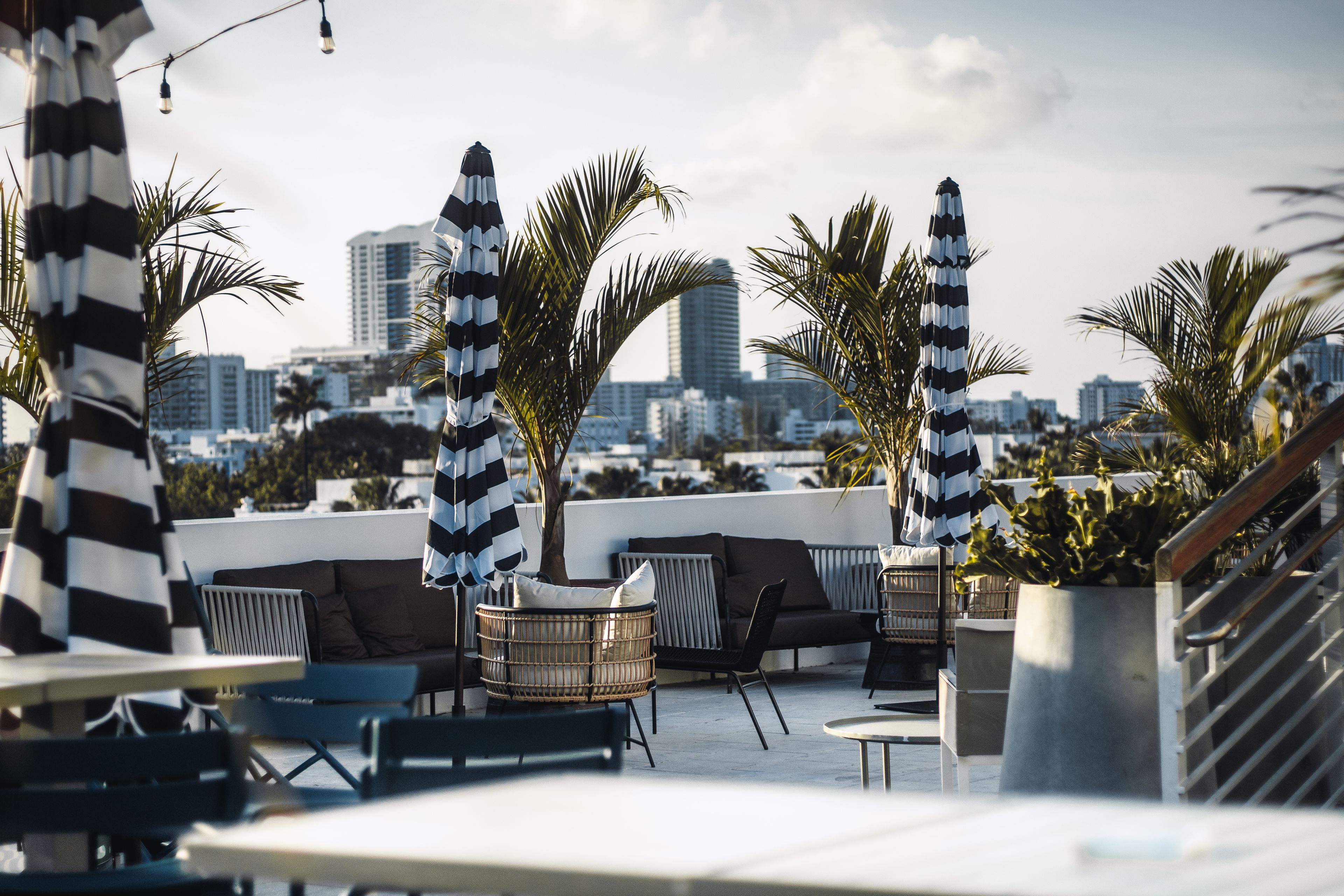 Cover photo of Bar Habana - El Patio Restaurant