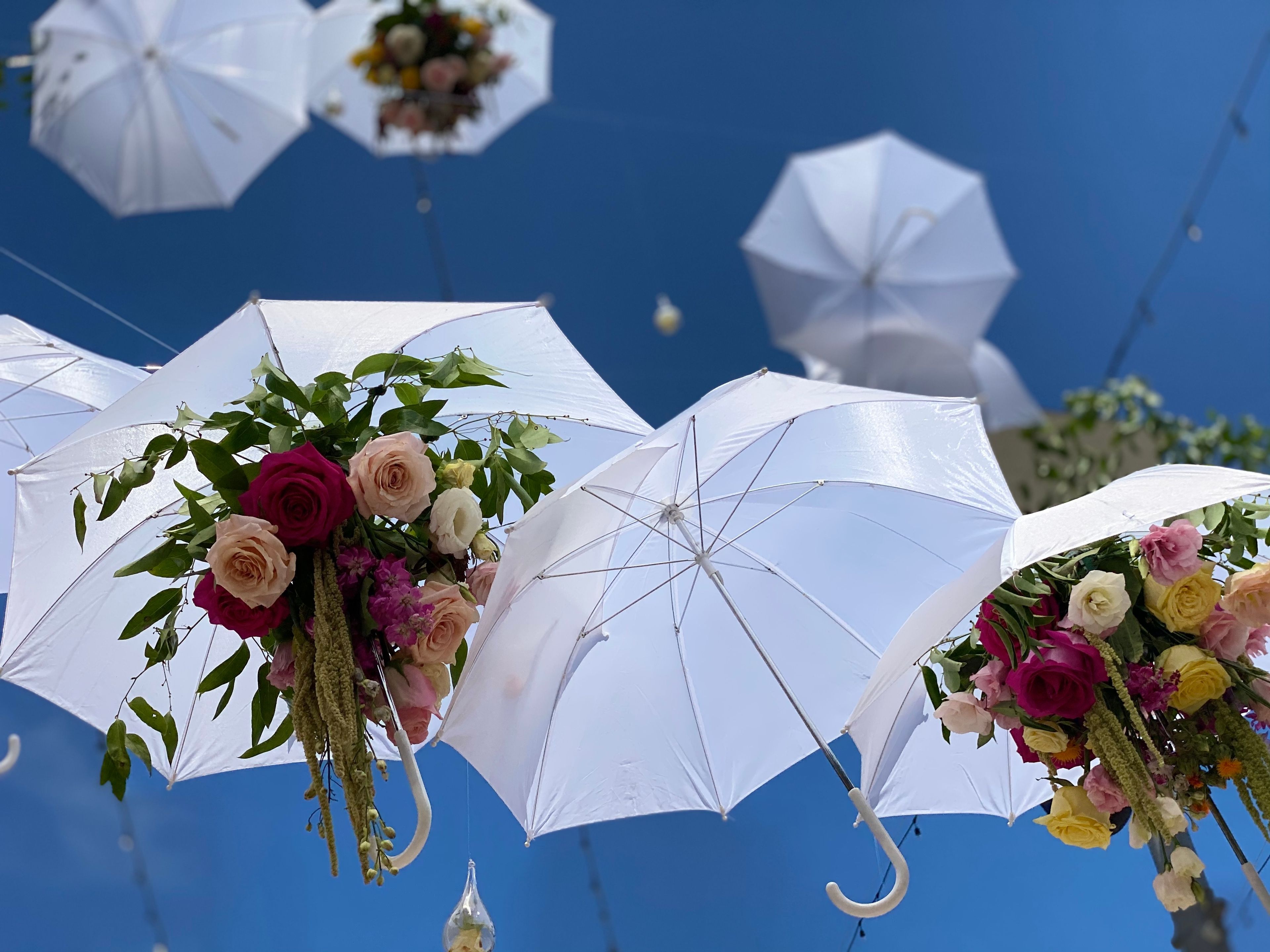 Cover photo of bougie twigs + blooms