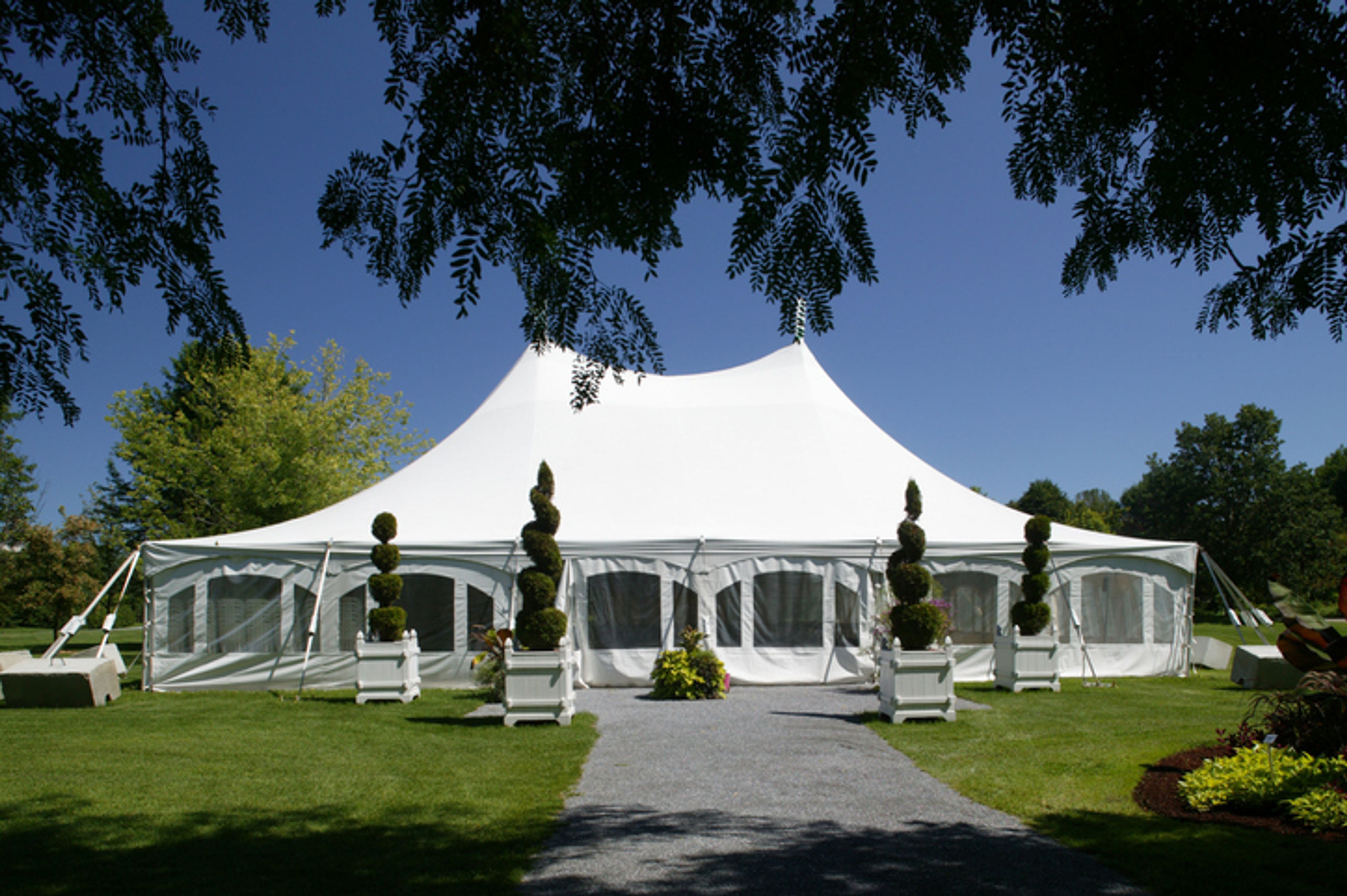 Cover photo of Ken Rent