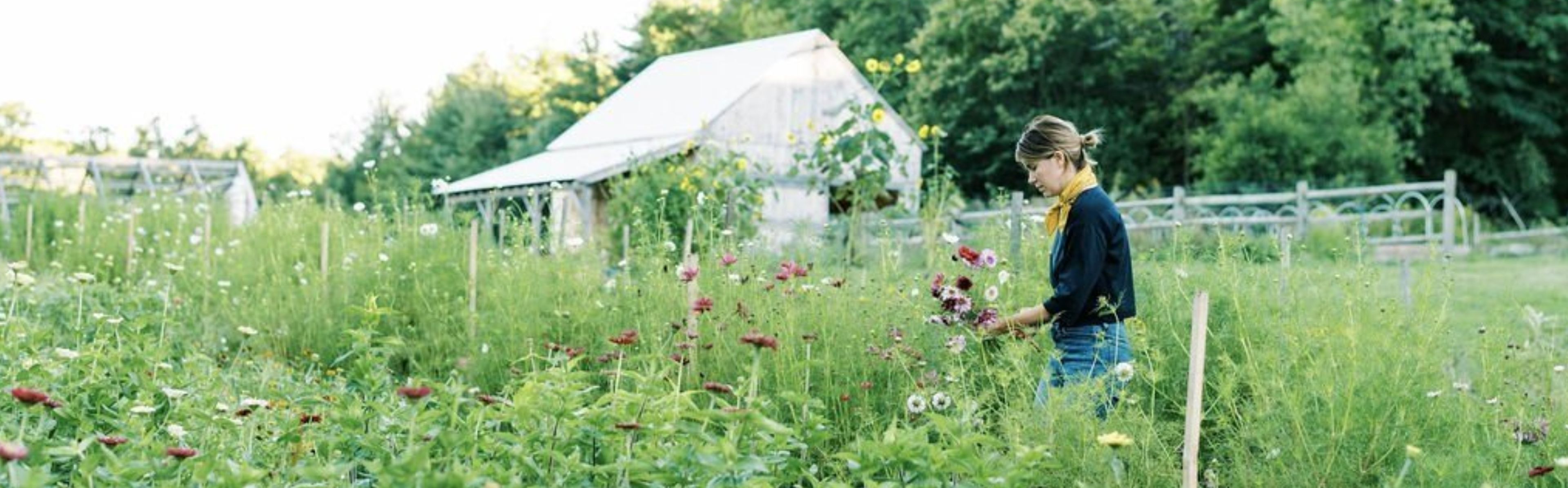 Cover photo of Bell Brook Farm