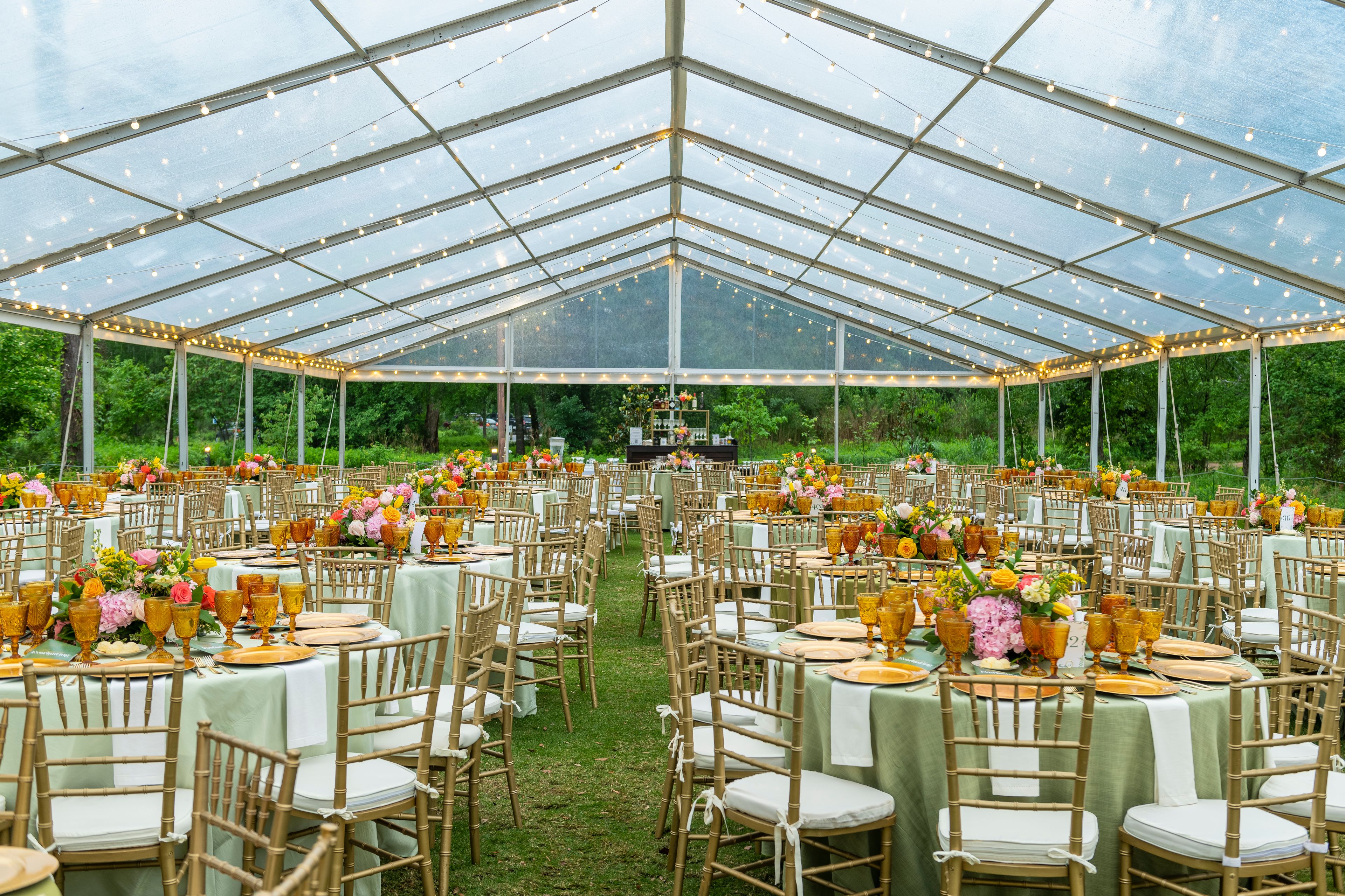 Cover photo of Houston Arboretum & Nature Center