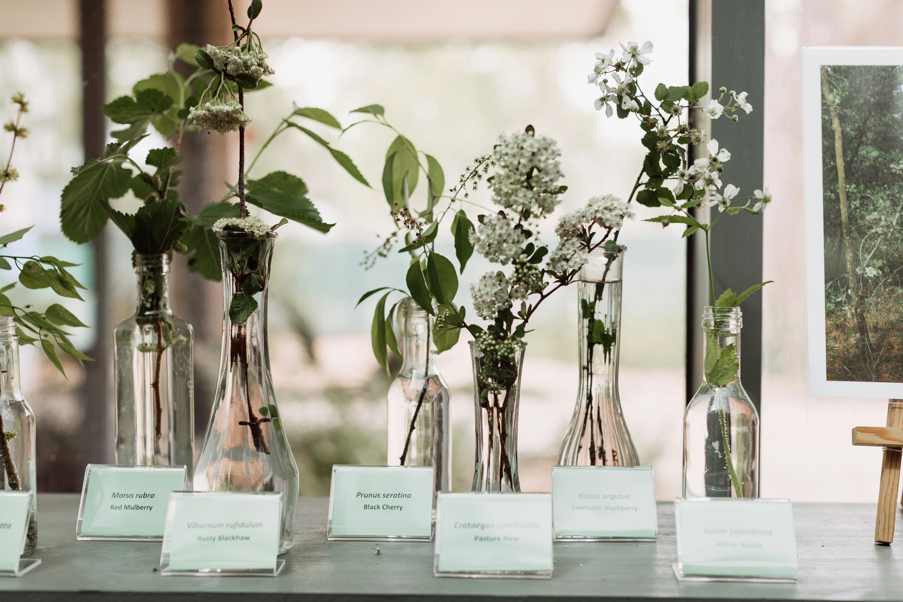 Cover photo of Houston Arboretum & Nature Center