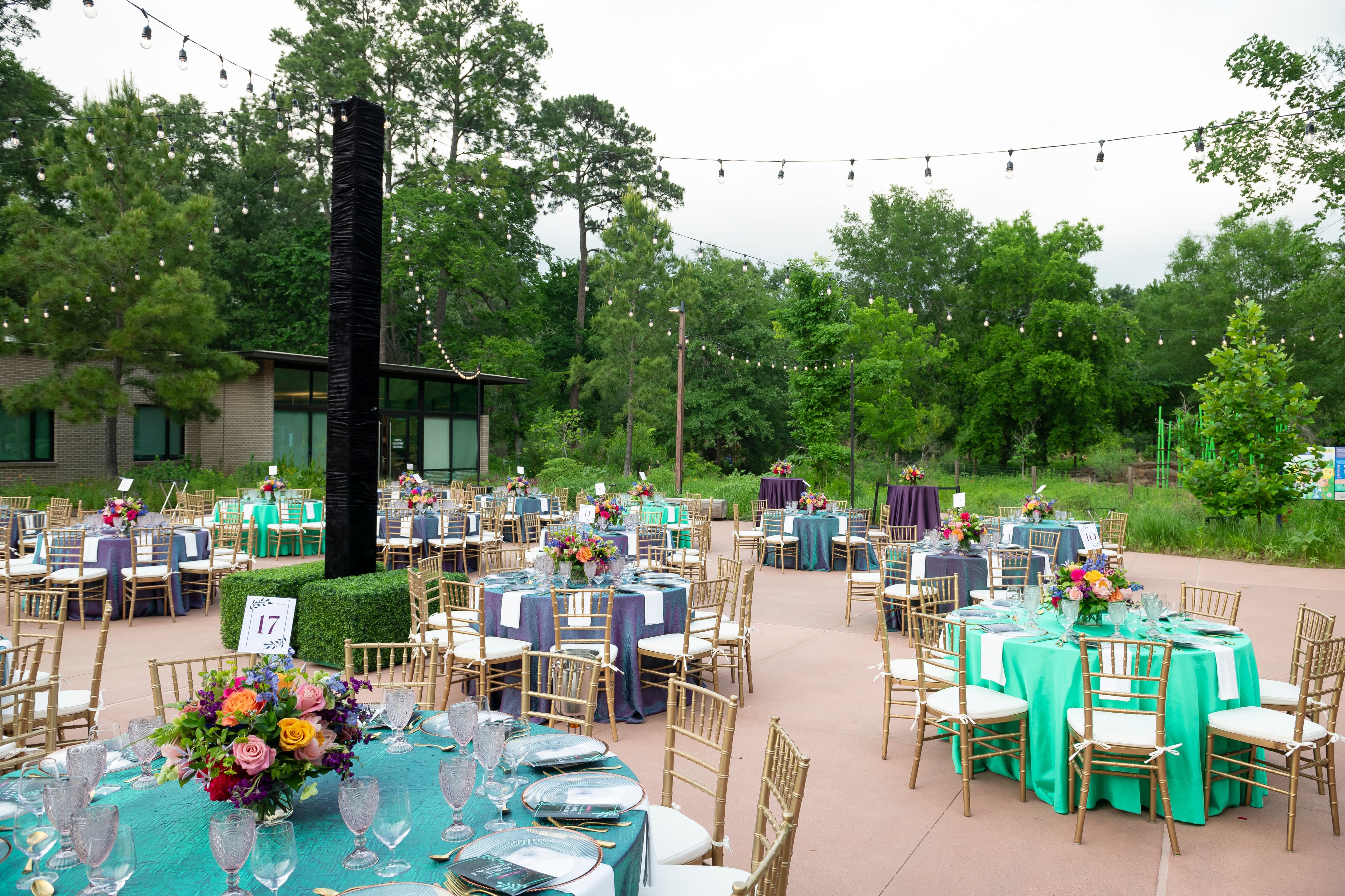 Cover photo of Houston Arboretum & Nature Center