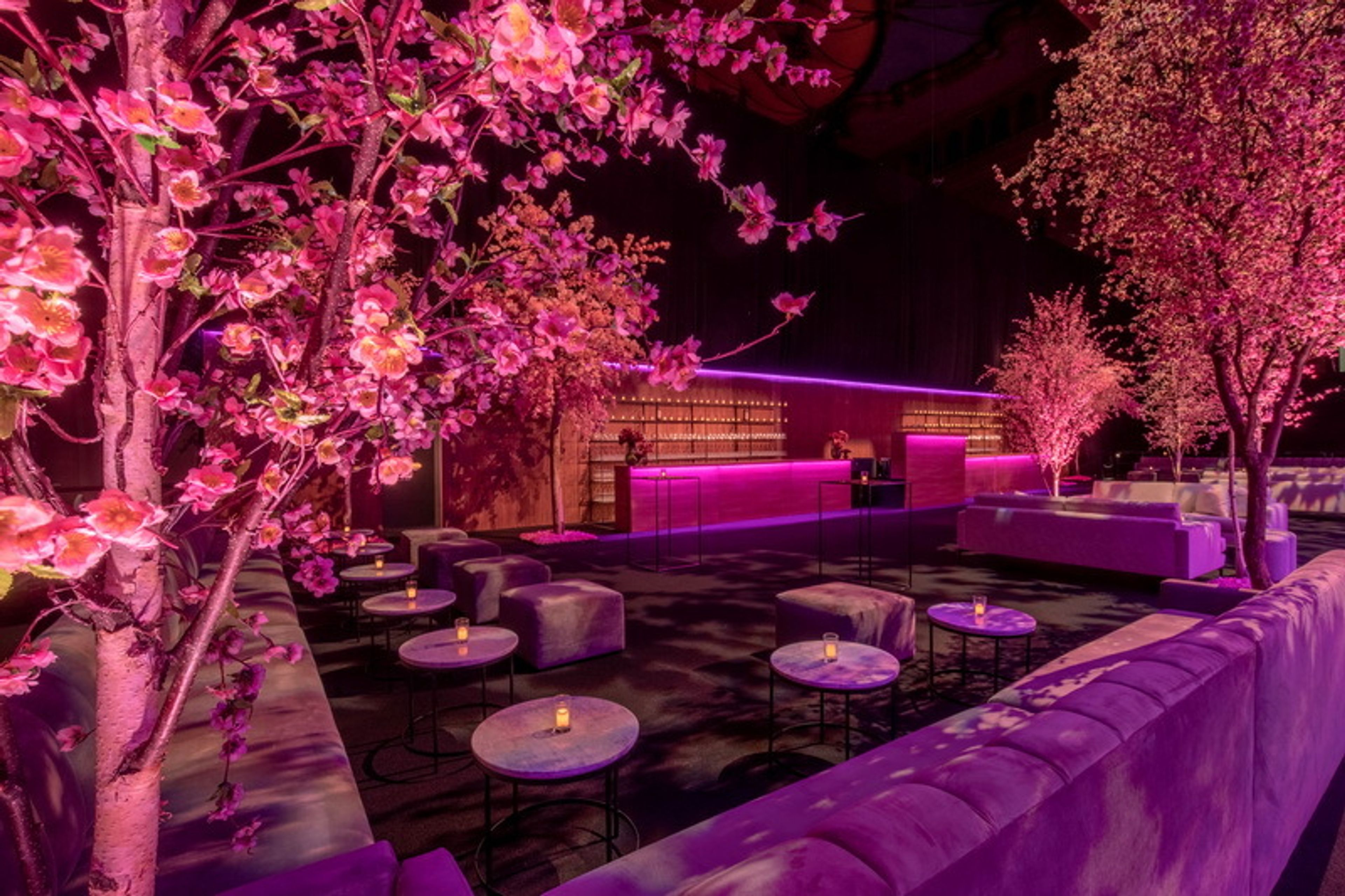 Cover photo of Images By Lighting