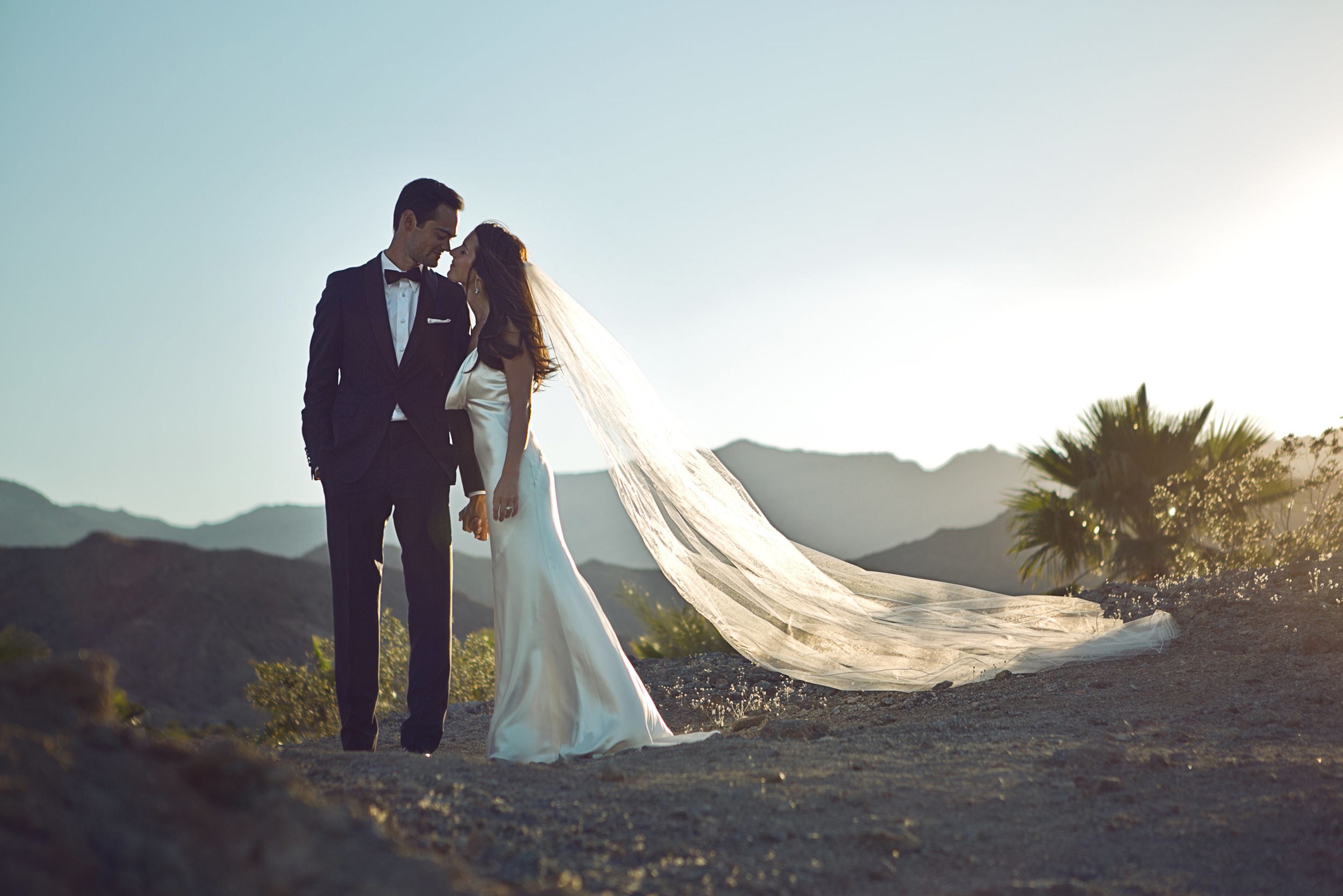 Cover photo of Alan Larsen Films