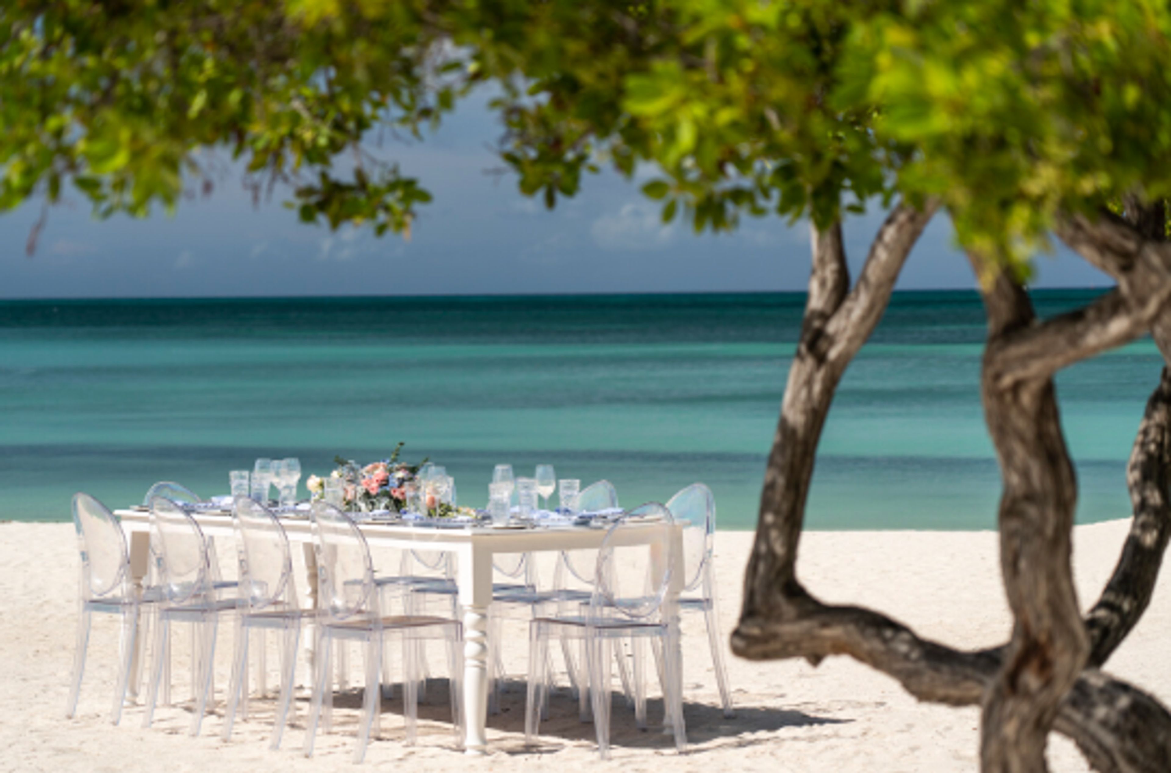Cover photo of The Ritz-Carlton, Aruba