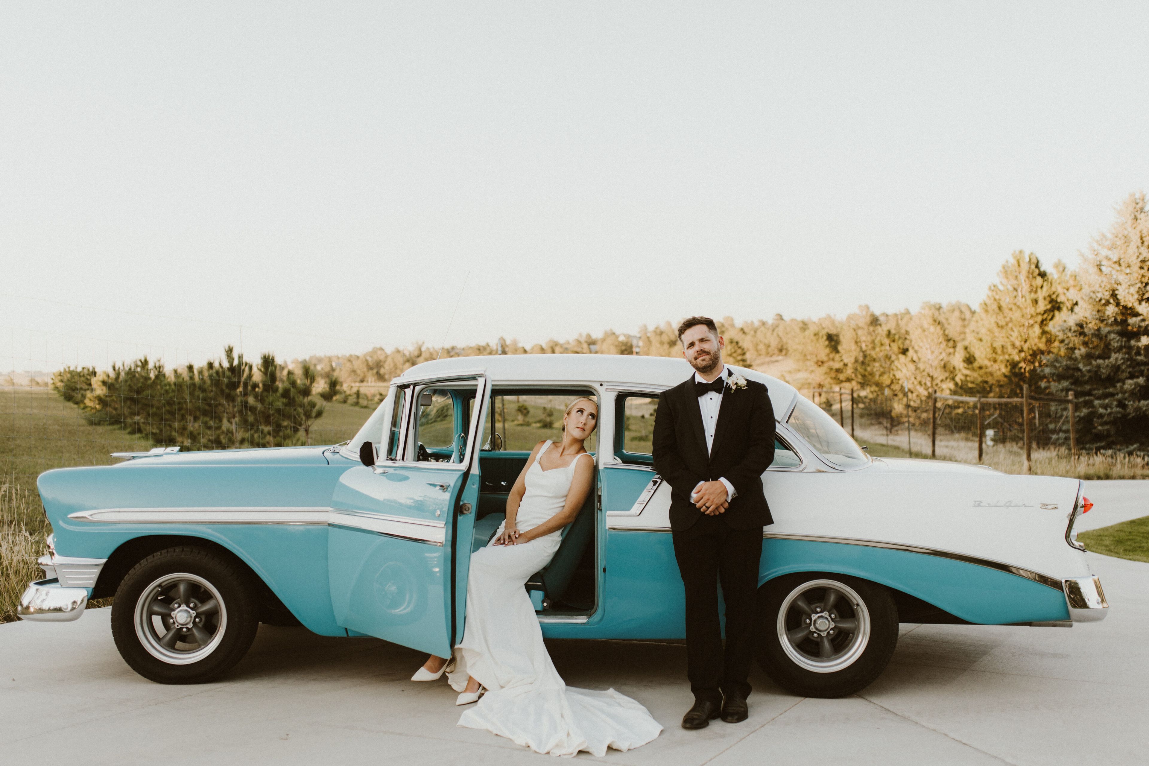 Cover photo of The Velvet Veil