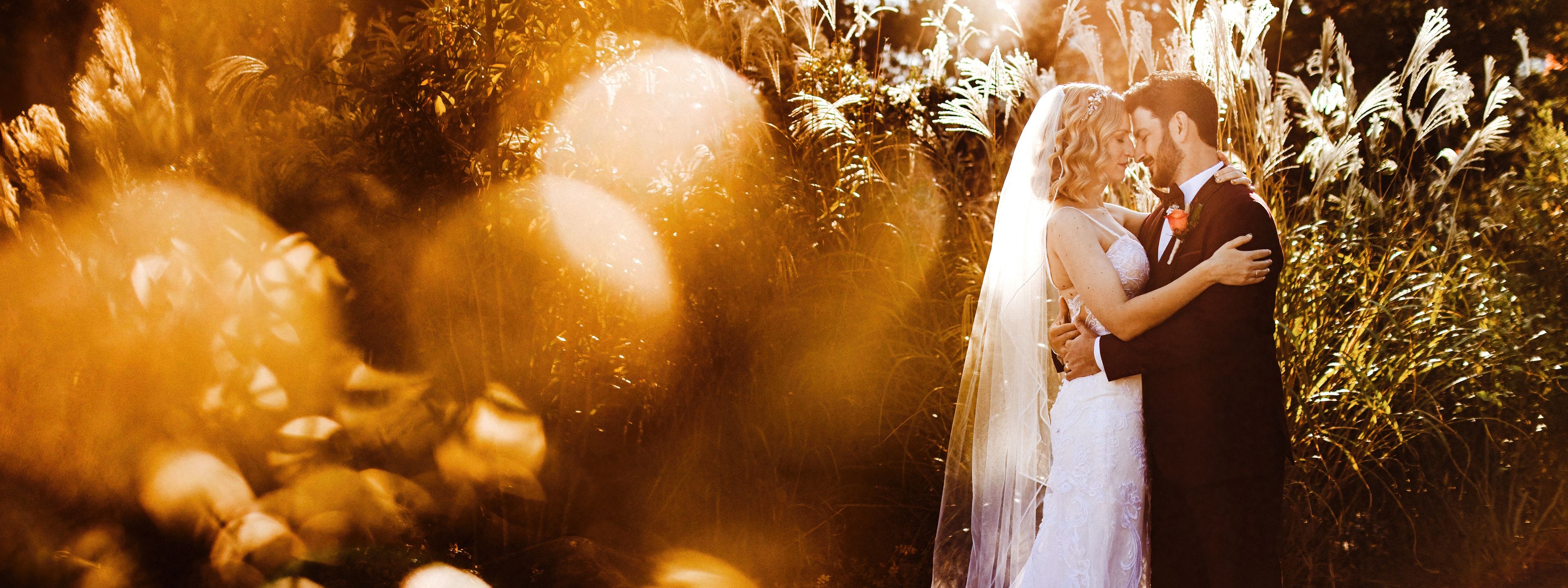 Cover photo of AJ Ingoglia Films