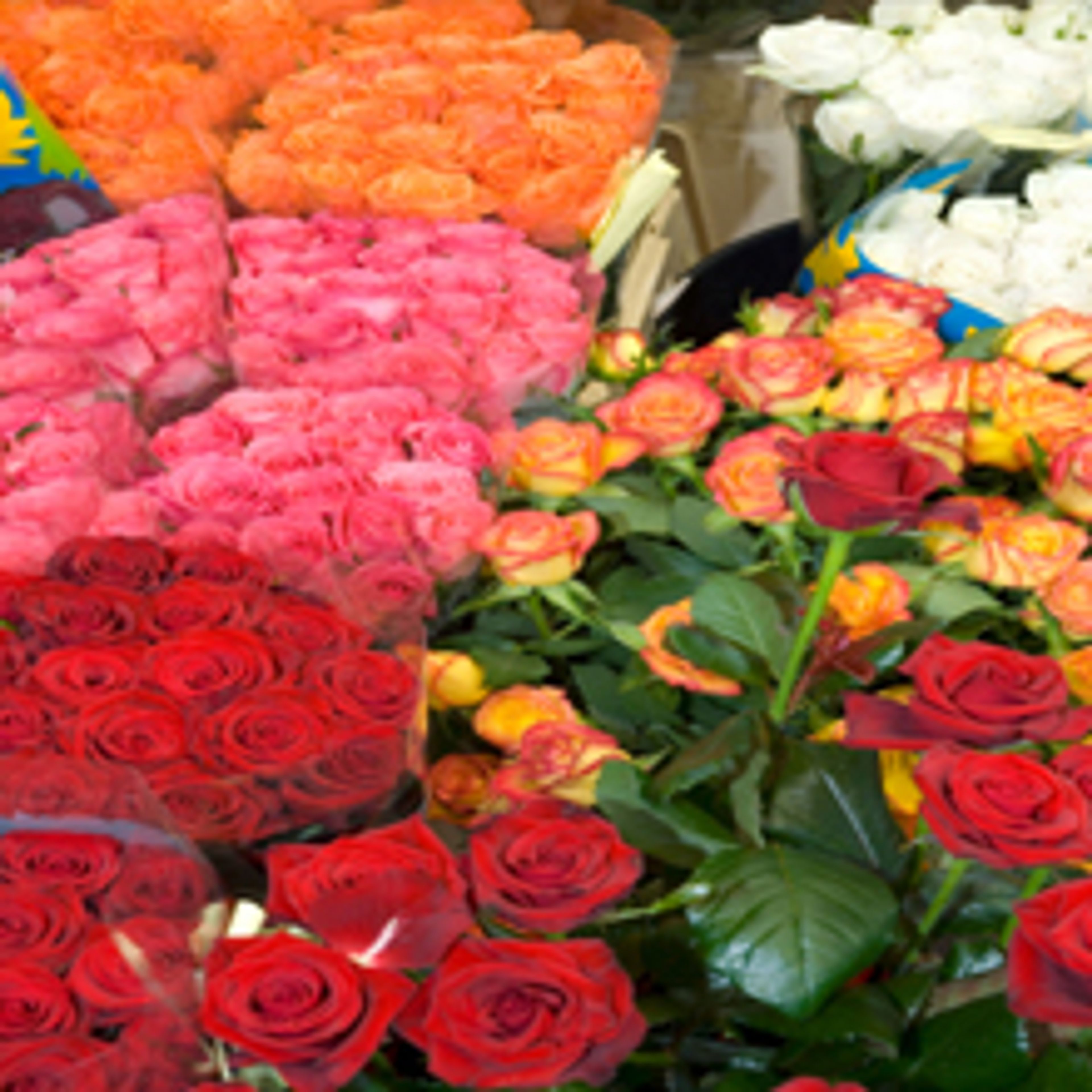 Cover photo of Callas Florist & Events