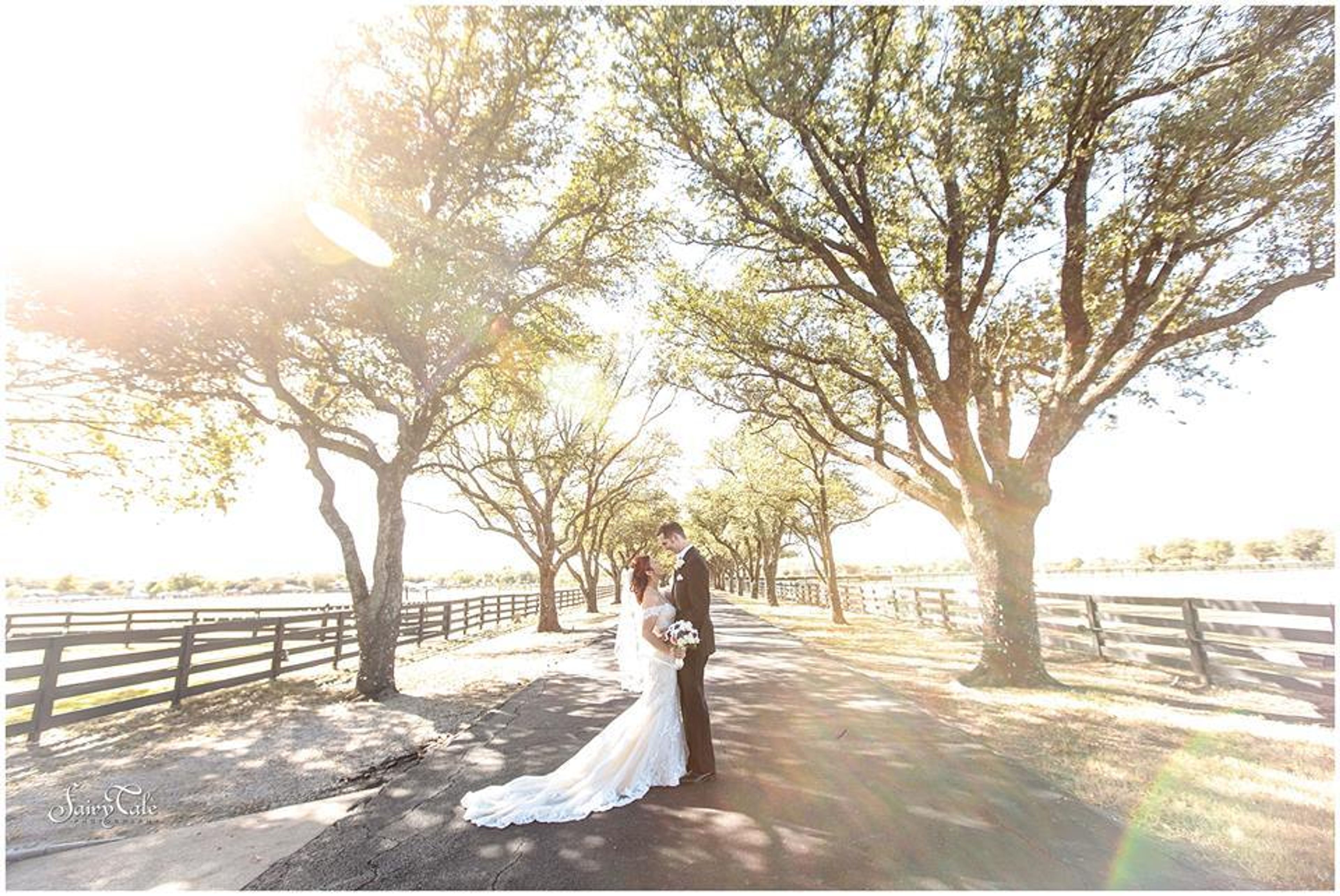 Cover photo of Fairy Tale Photography