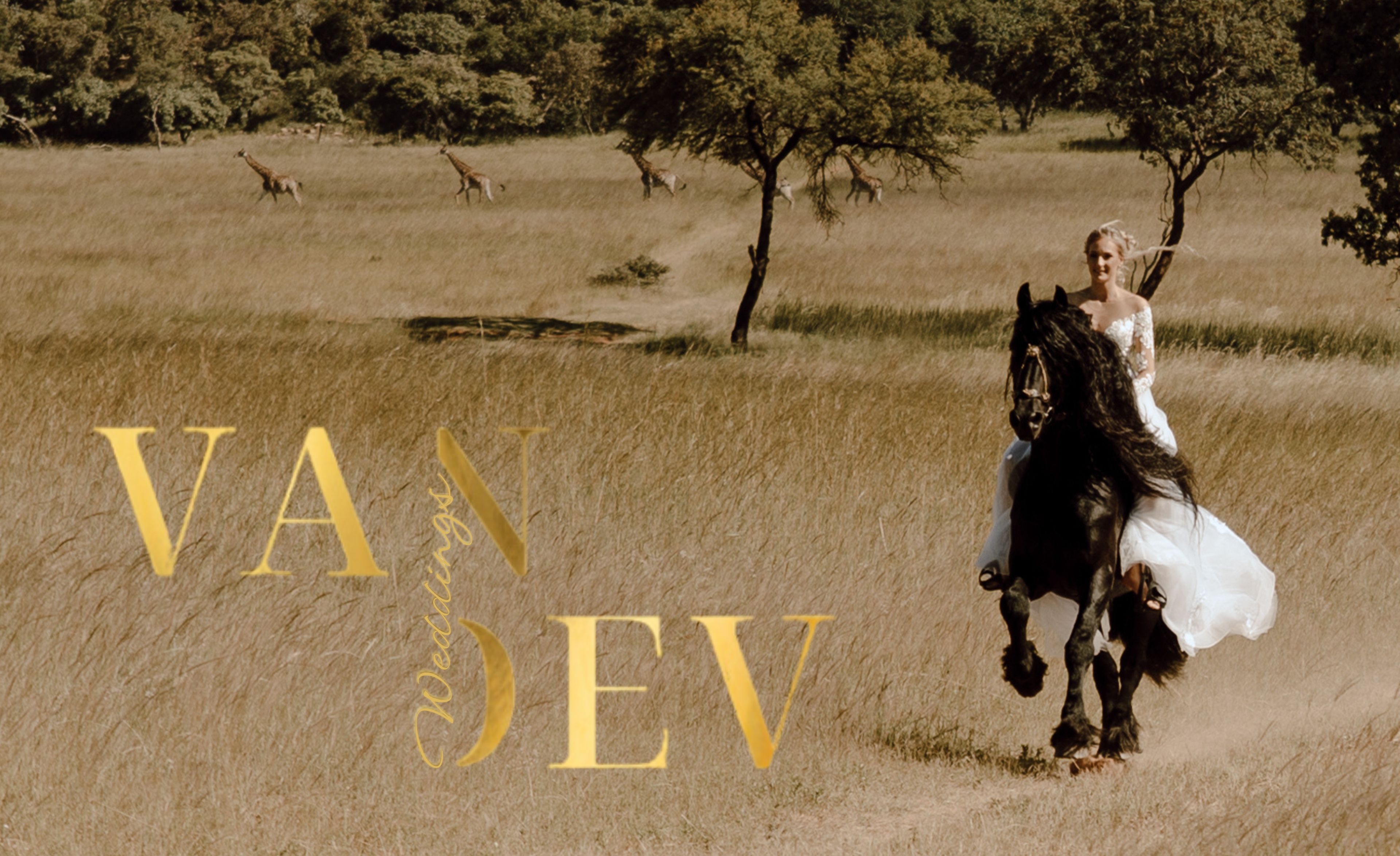 Cover photo of Van Dev Weddings