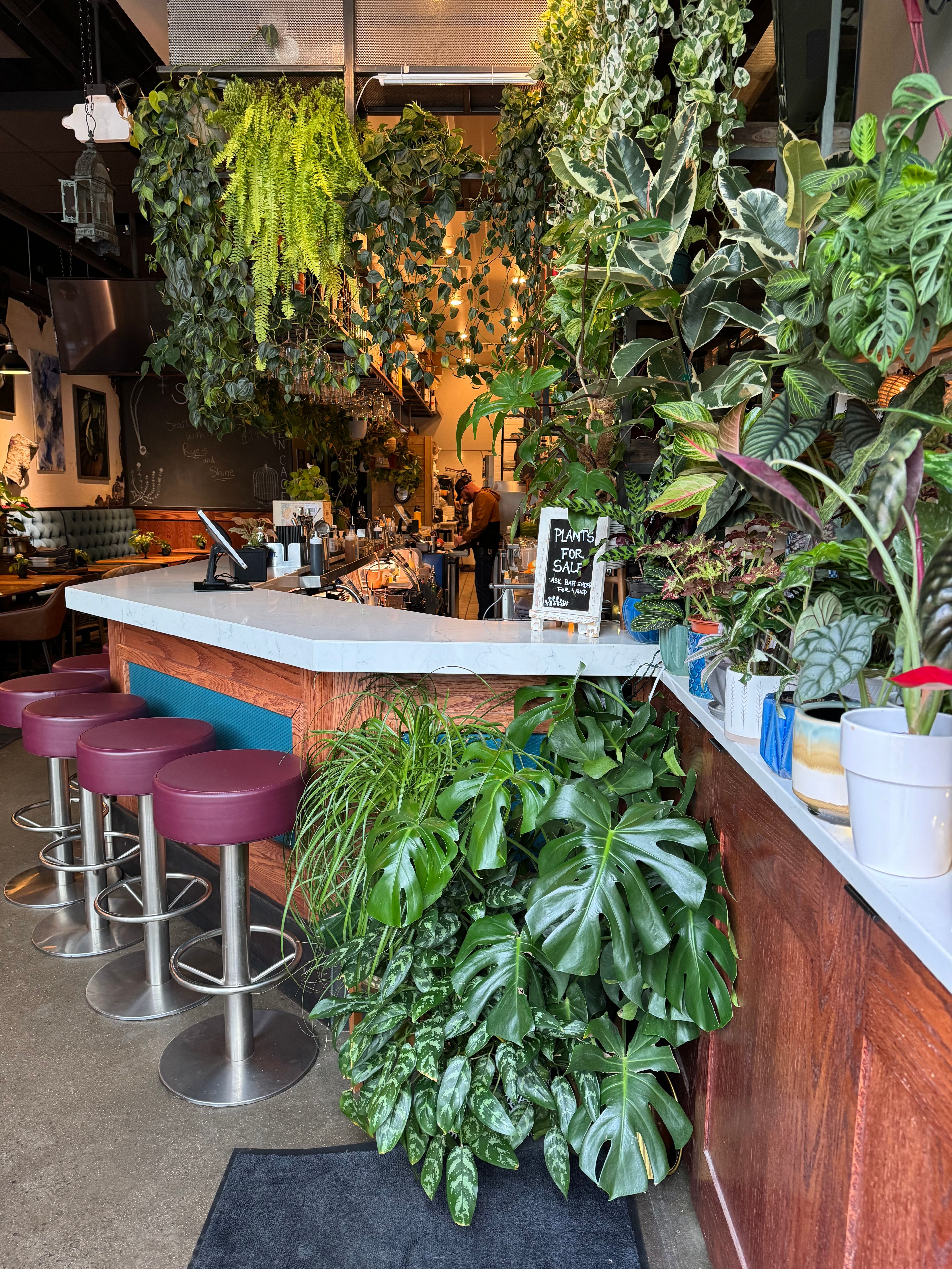 Cover photo of The Broken Cage