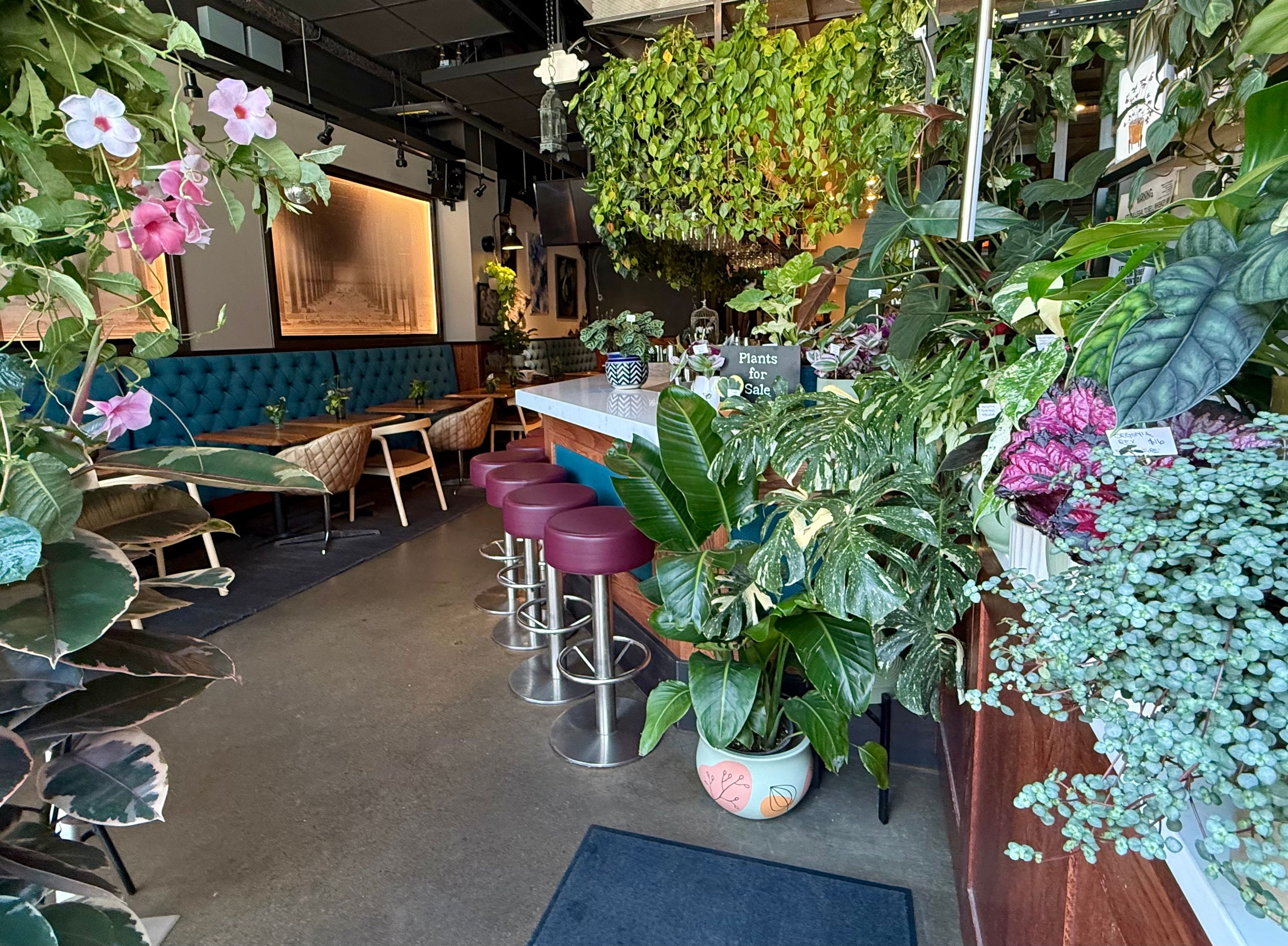 Cover photo of The Broken Cage