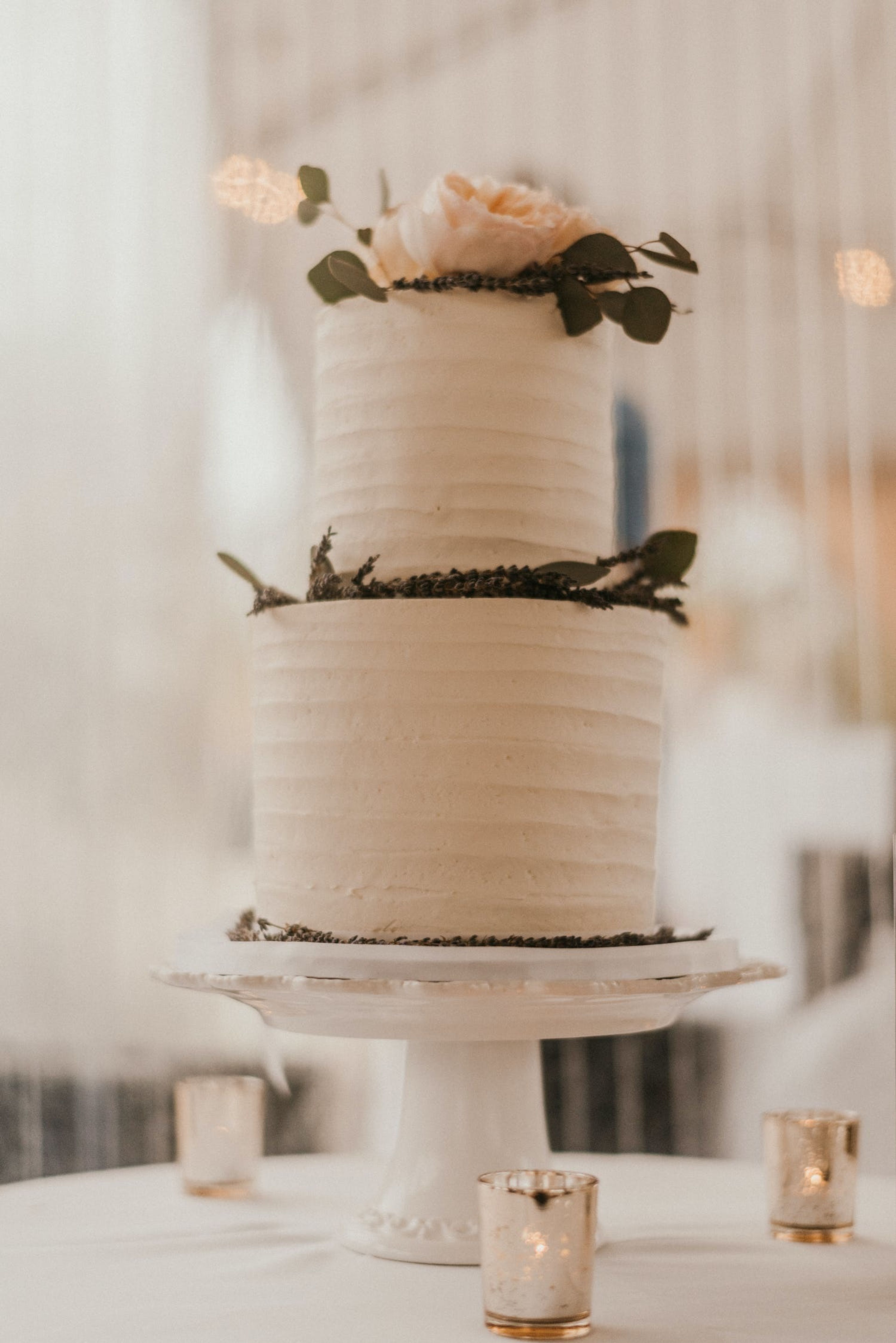 Cover photo of Vanilla And The Bean