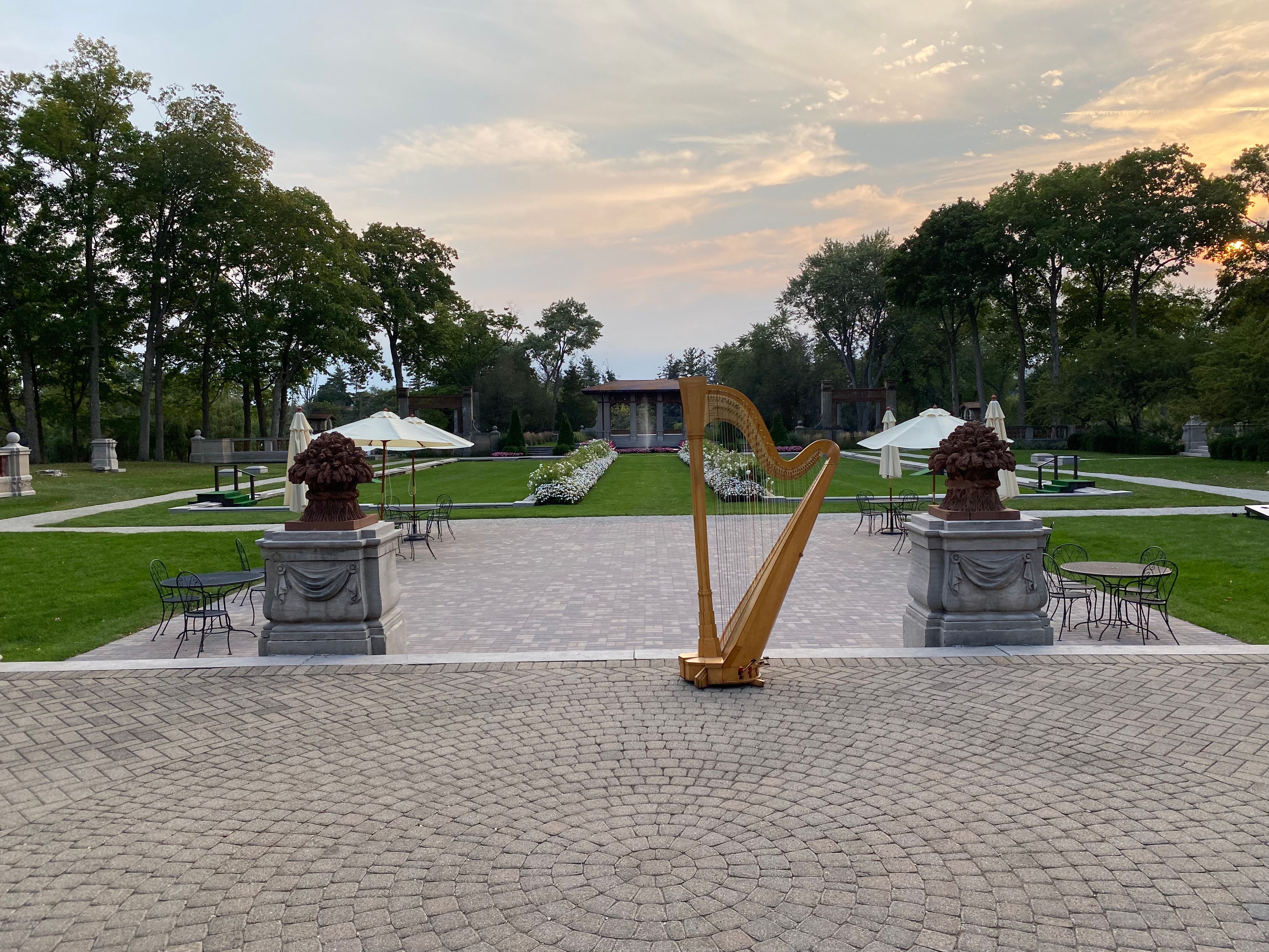 Cover photo of Chicago Harpist Renee Wilson