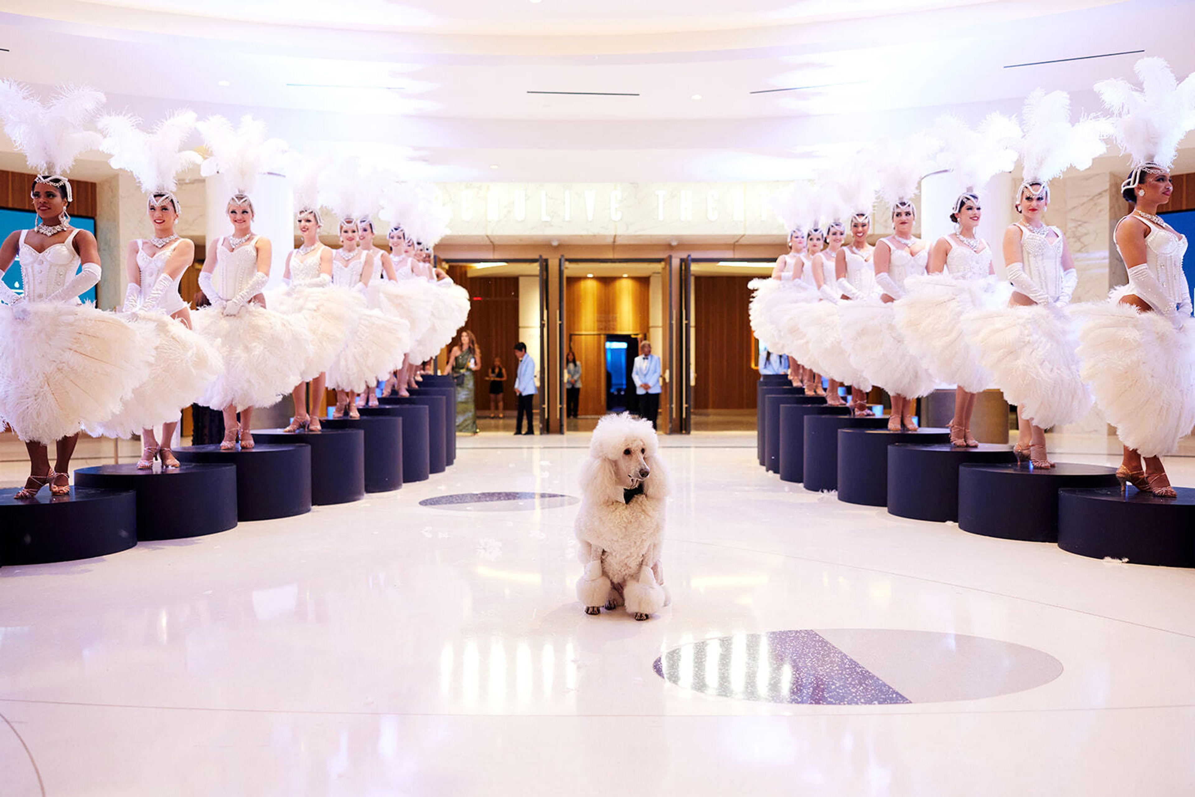 Cover photo of Colin Cowie Lifestyle