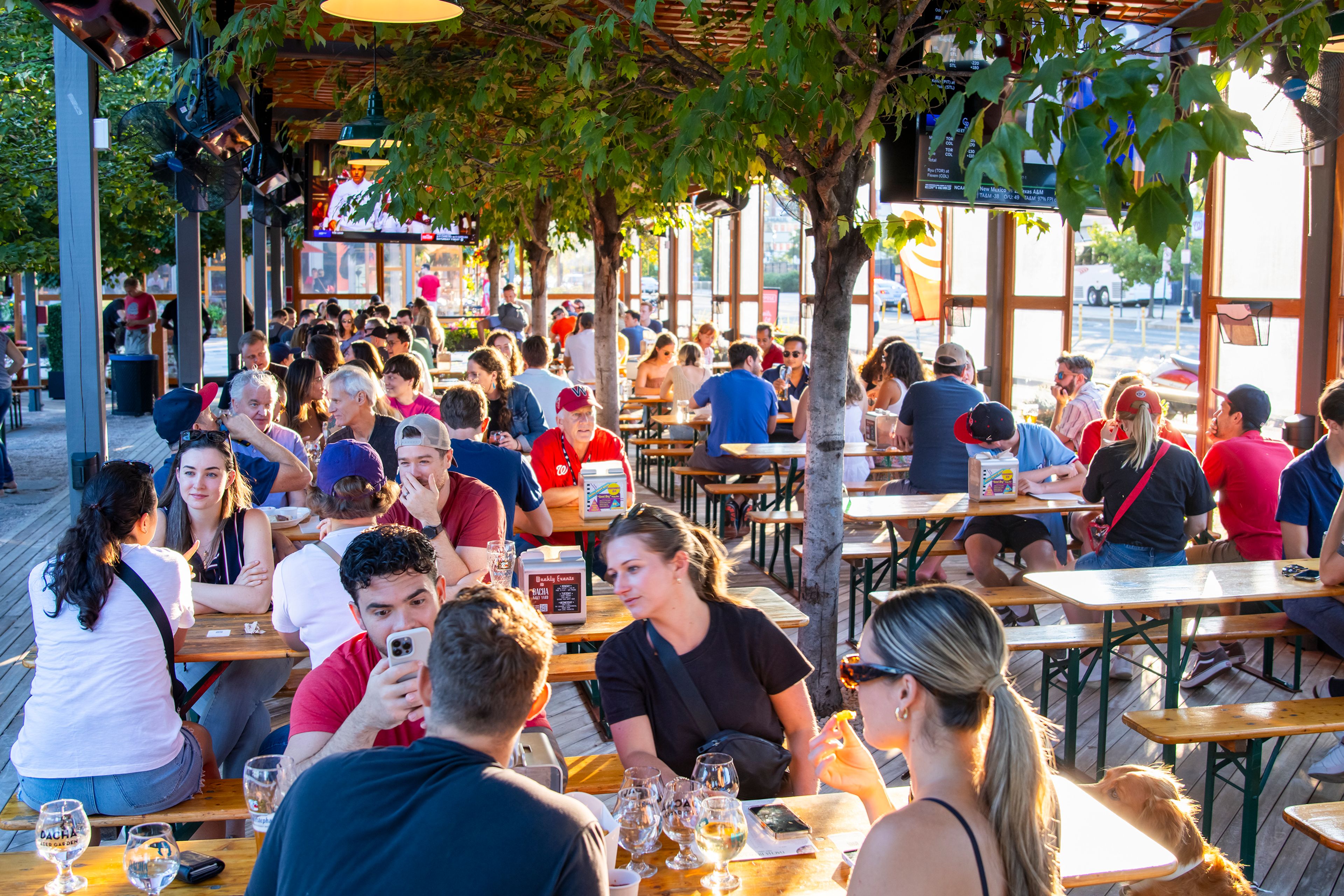 Cover photo of Dacha Beer Garden Navy Yard
