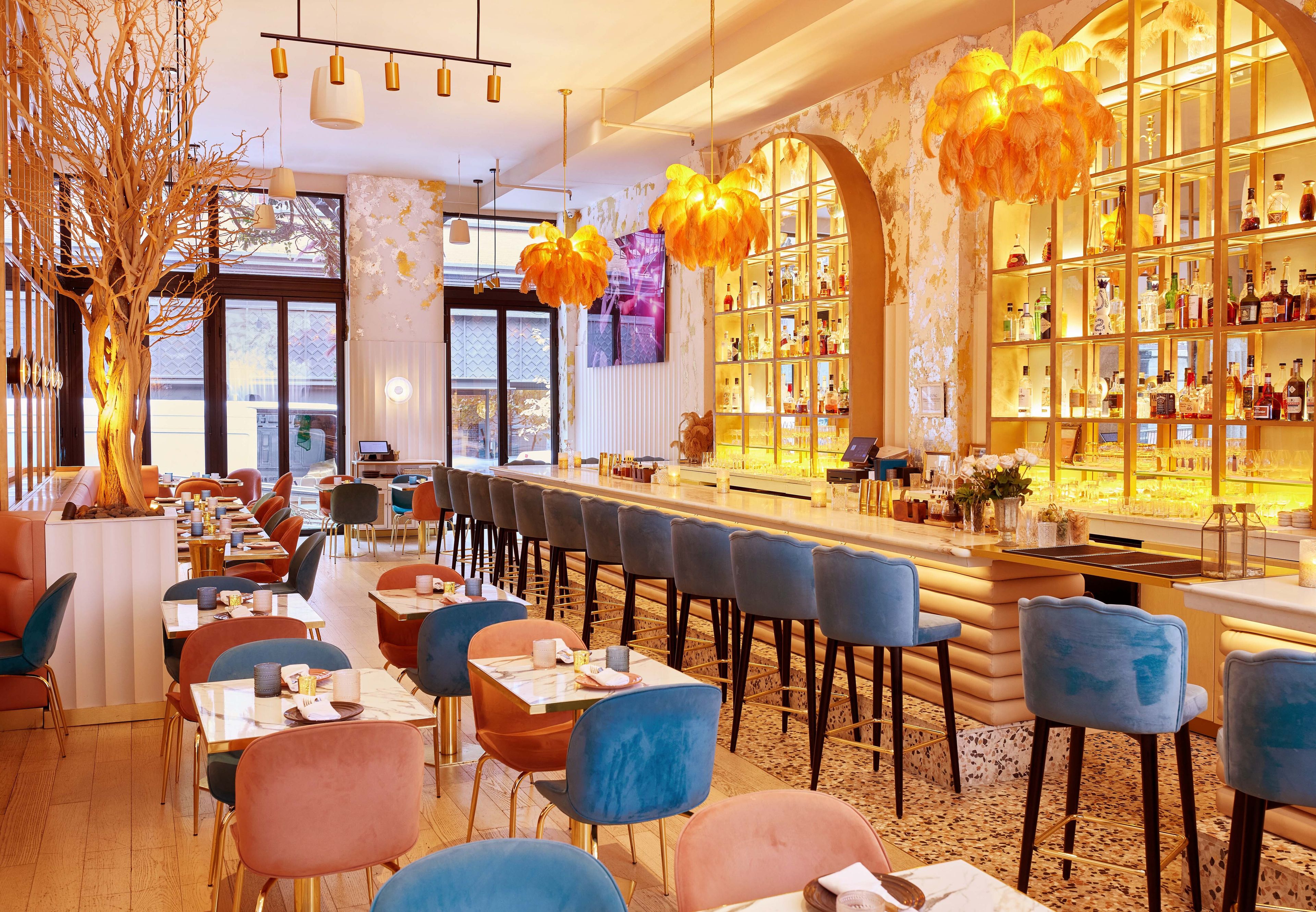 Cover photo of Reyna