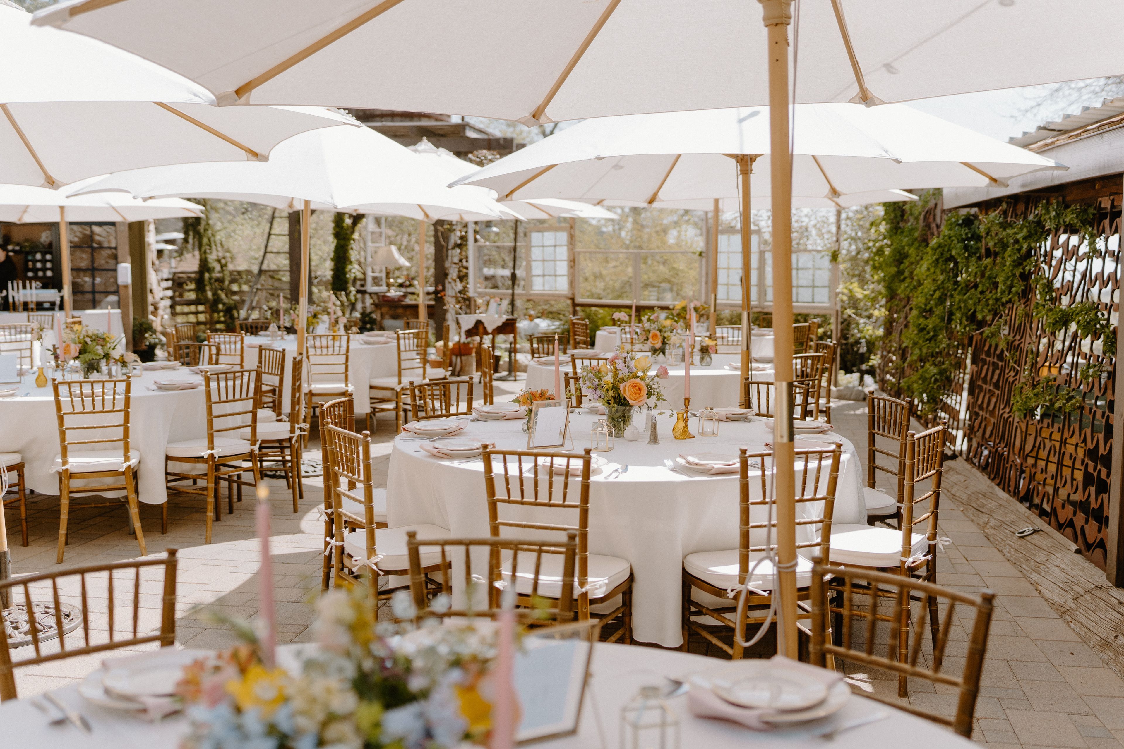 Cover photo of The Homestead