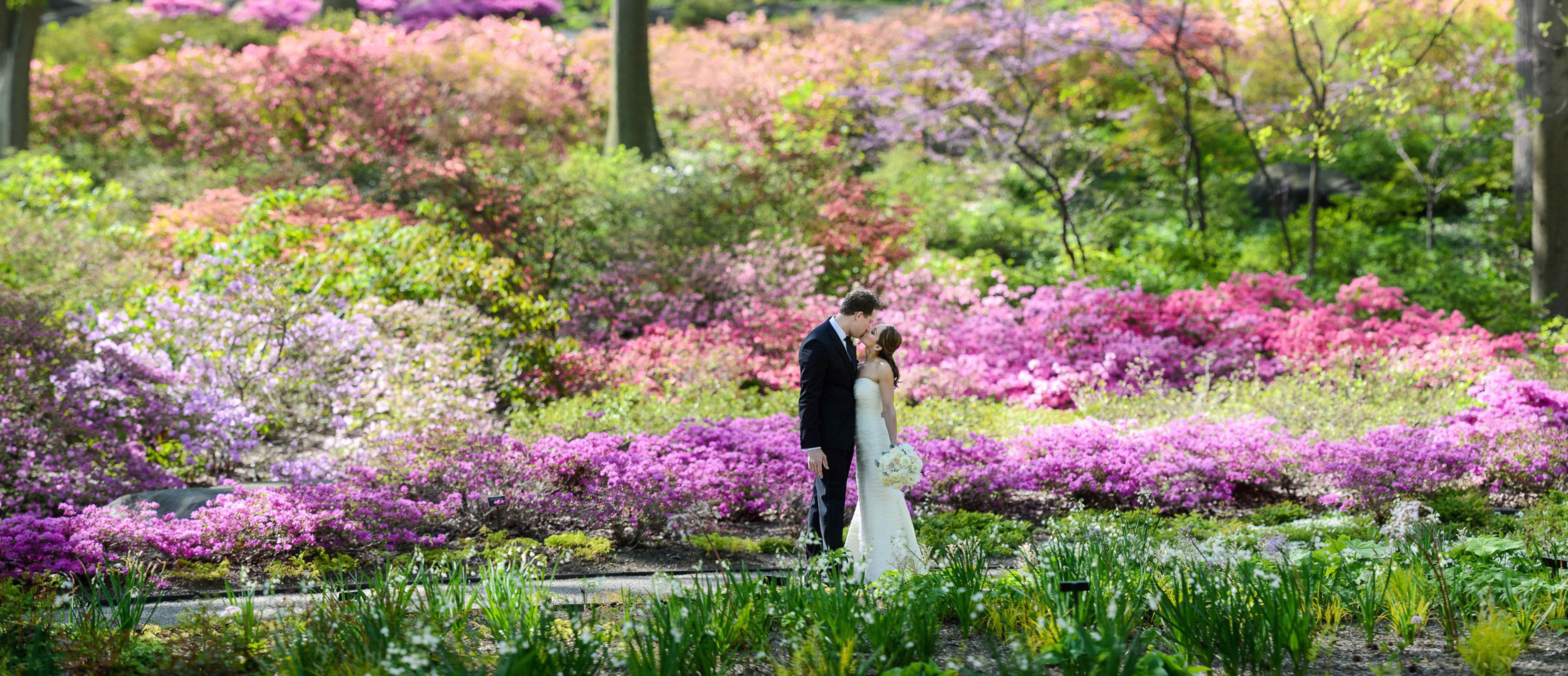 Cover photo of André Maier Photography