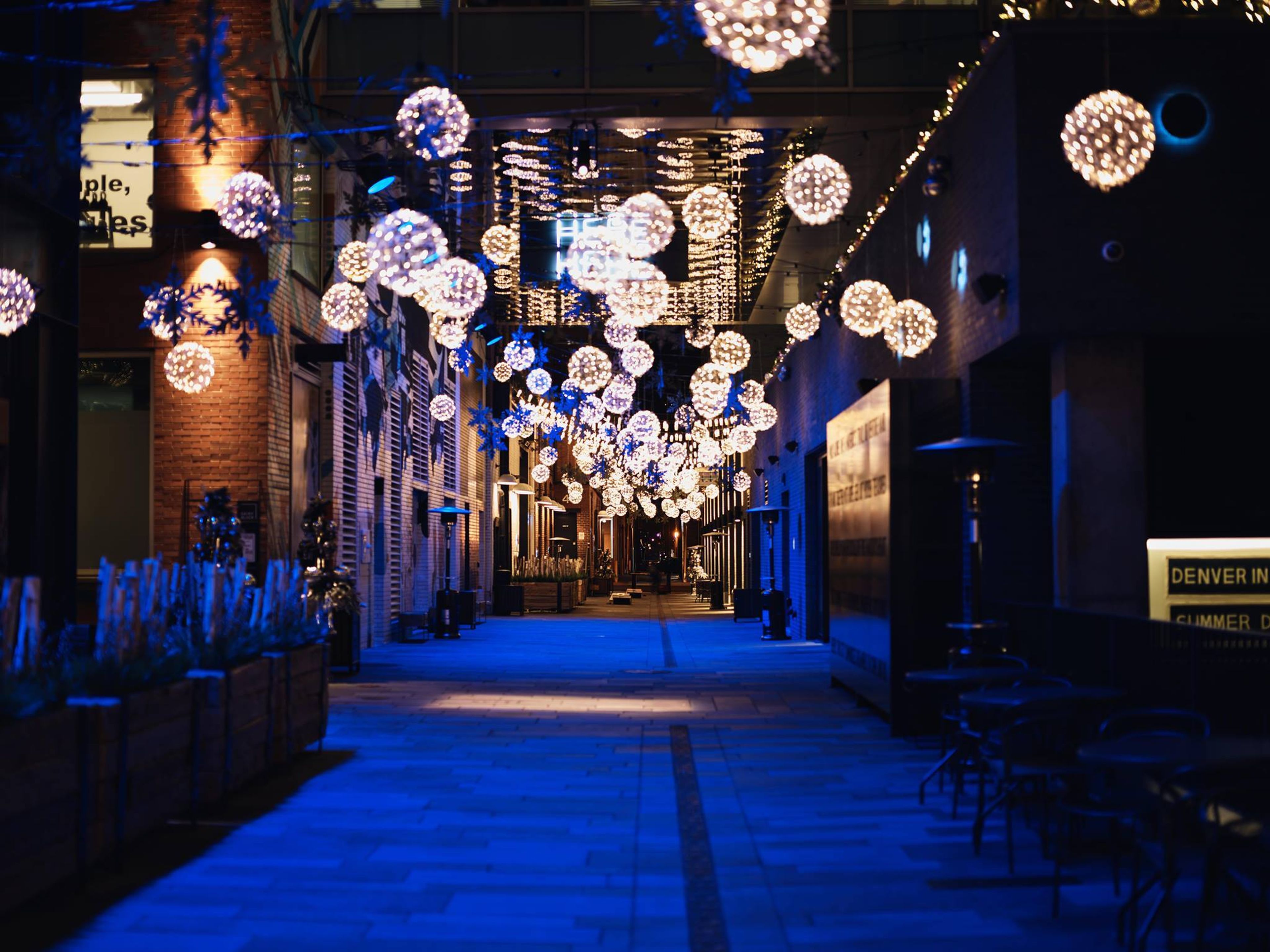 Cover photo of The Maven at Dairy Block