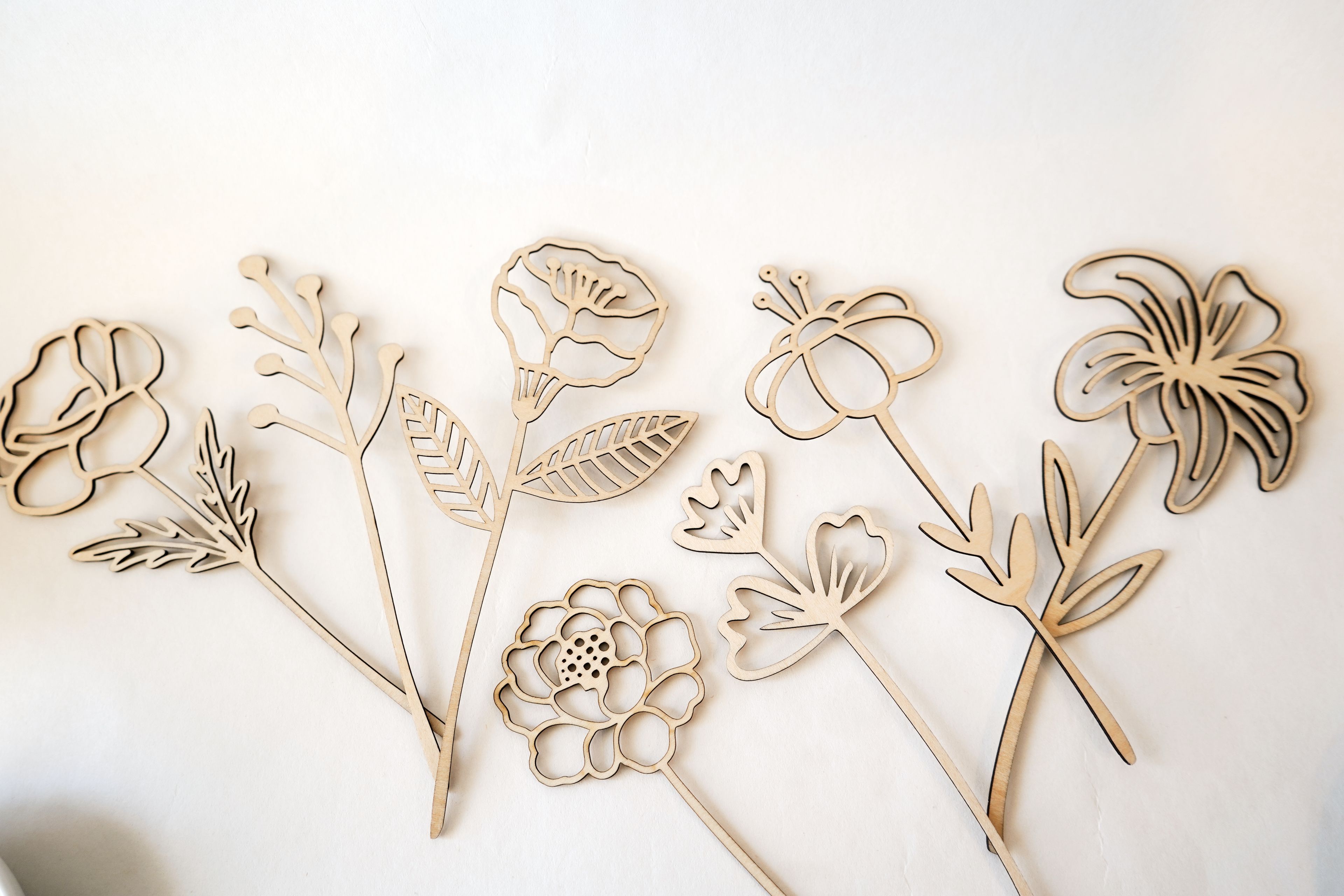 Cover photo of Custom Cut Lab