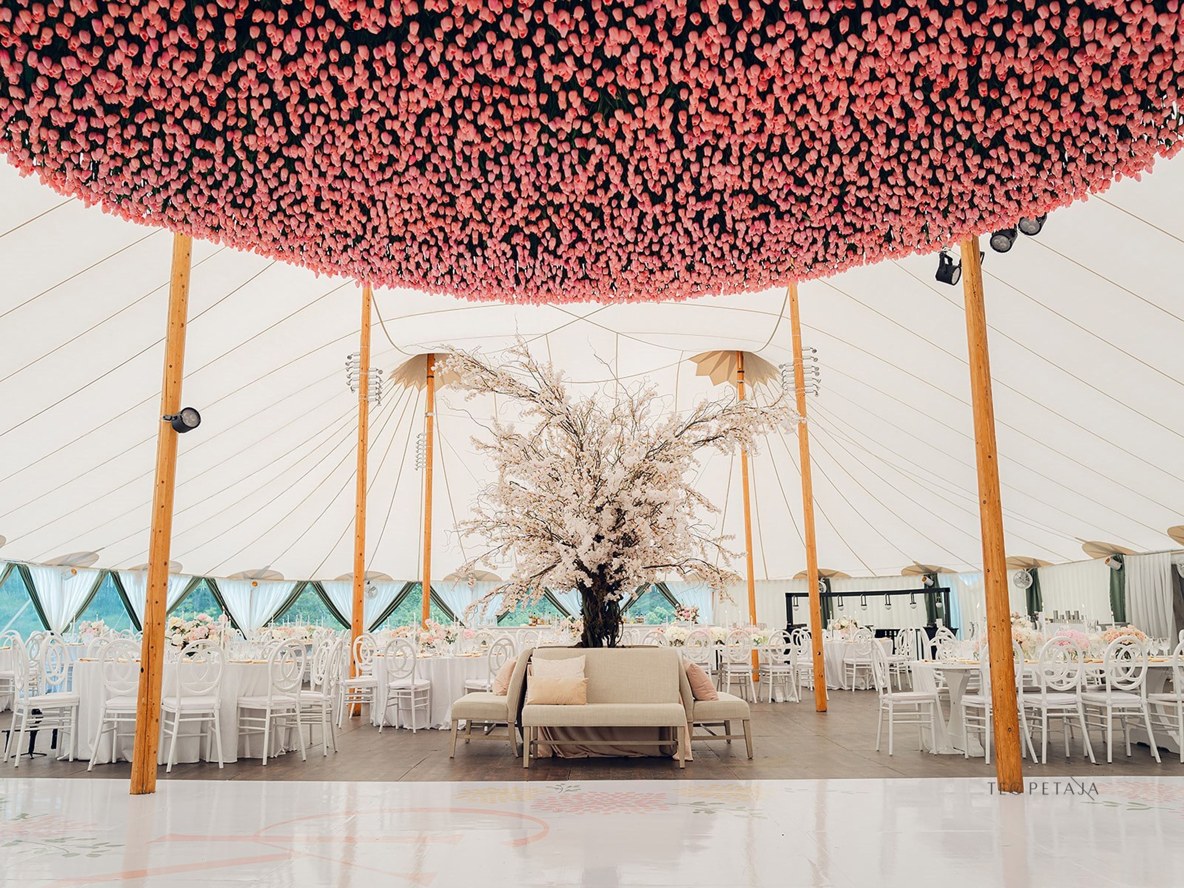 Cover photo of Fresh Designs: Flora and Events