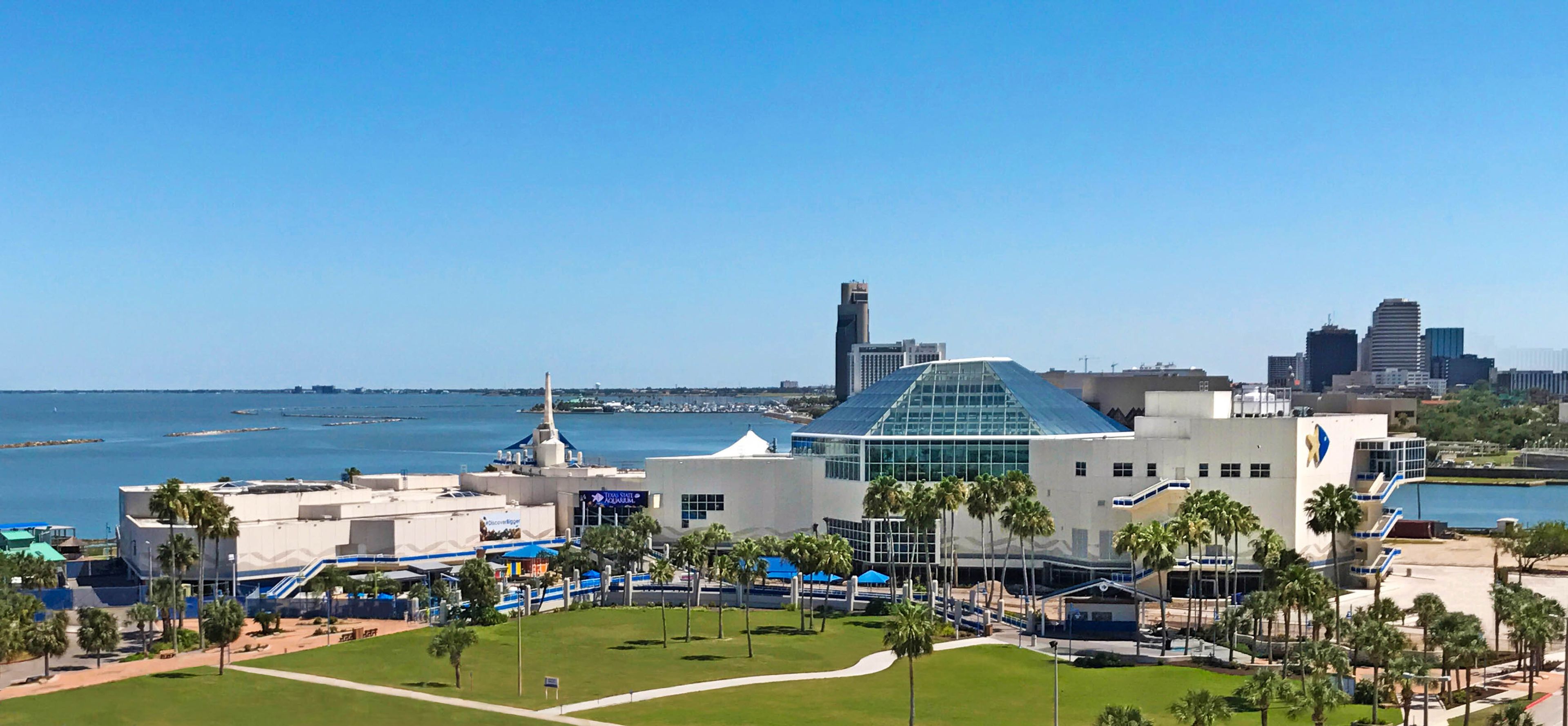 Cover photo of Texas State Aquarium