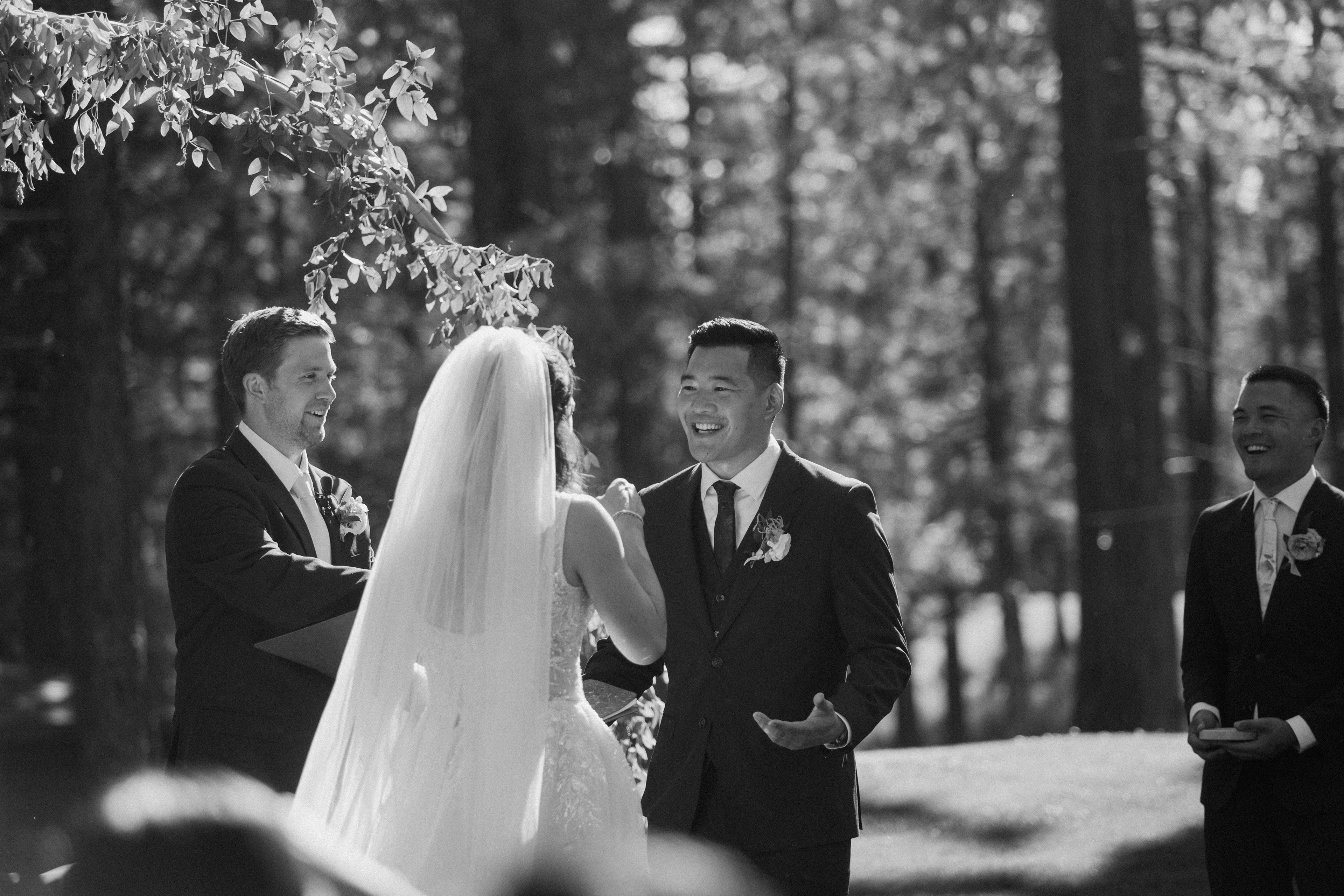 Cover photo of Over the Moon Wedding Officiant