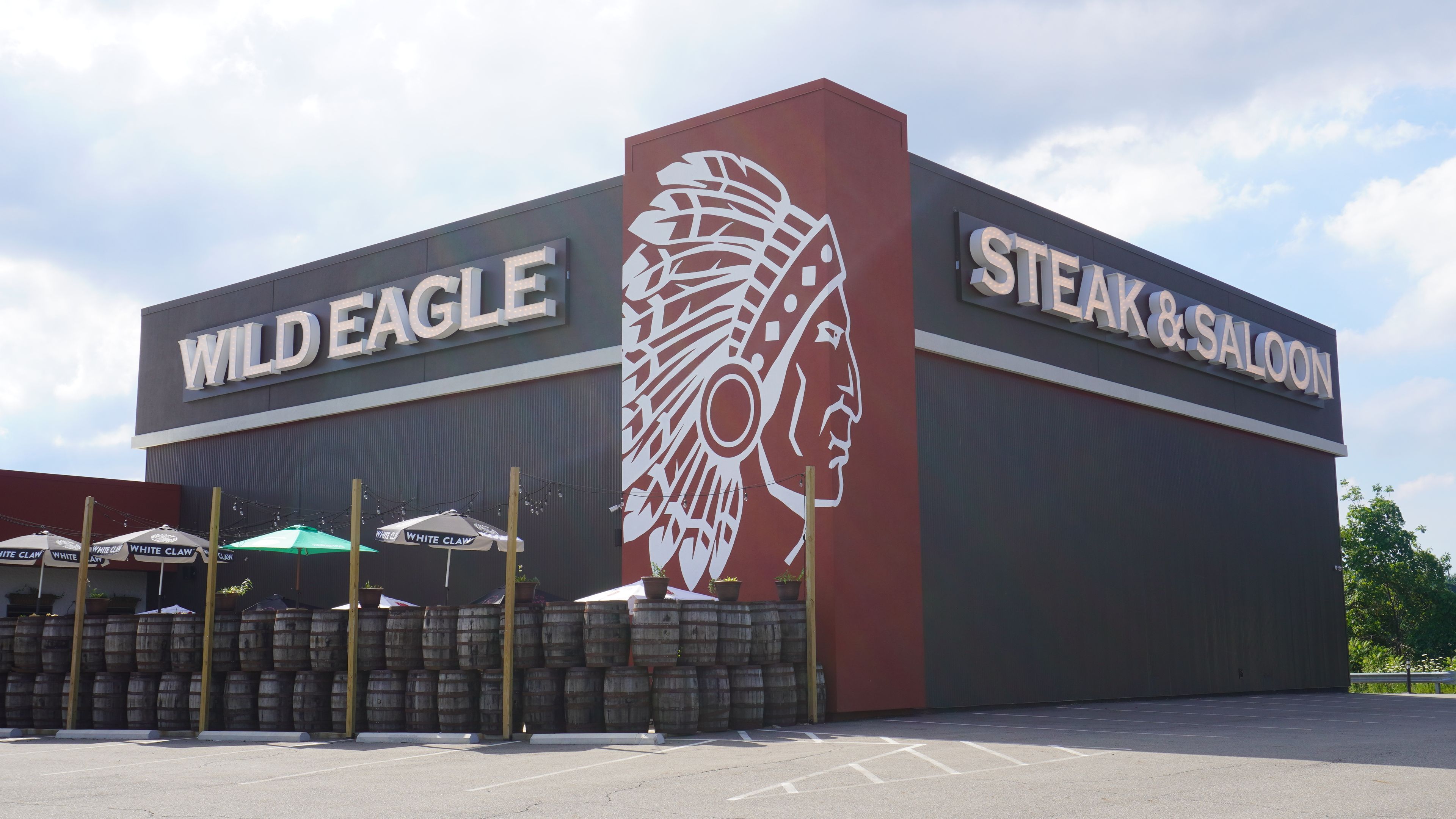 Cover photo of Wild Eagle