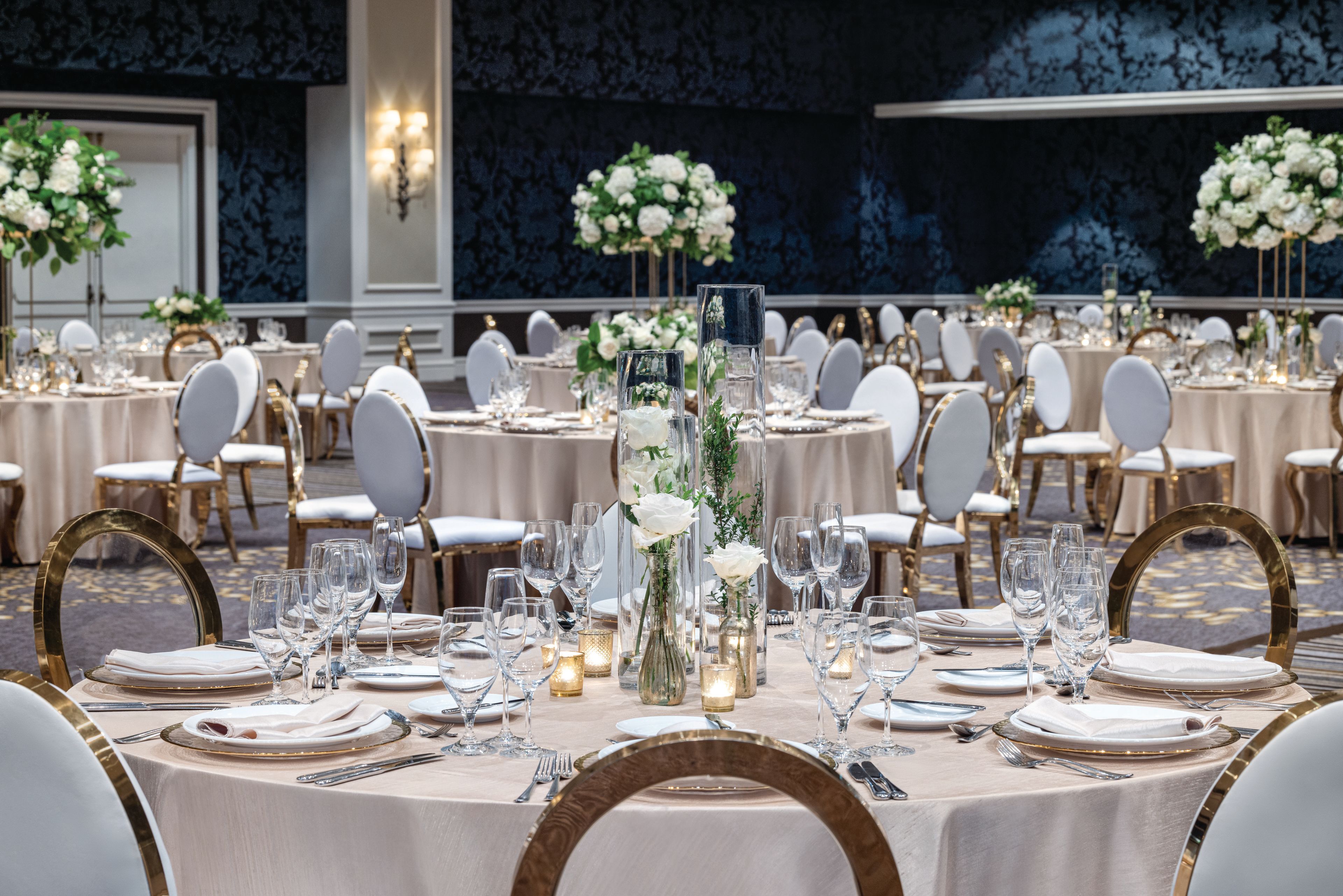 Cover photo of Signia by Hilton San Jose