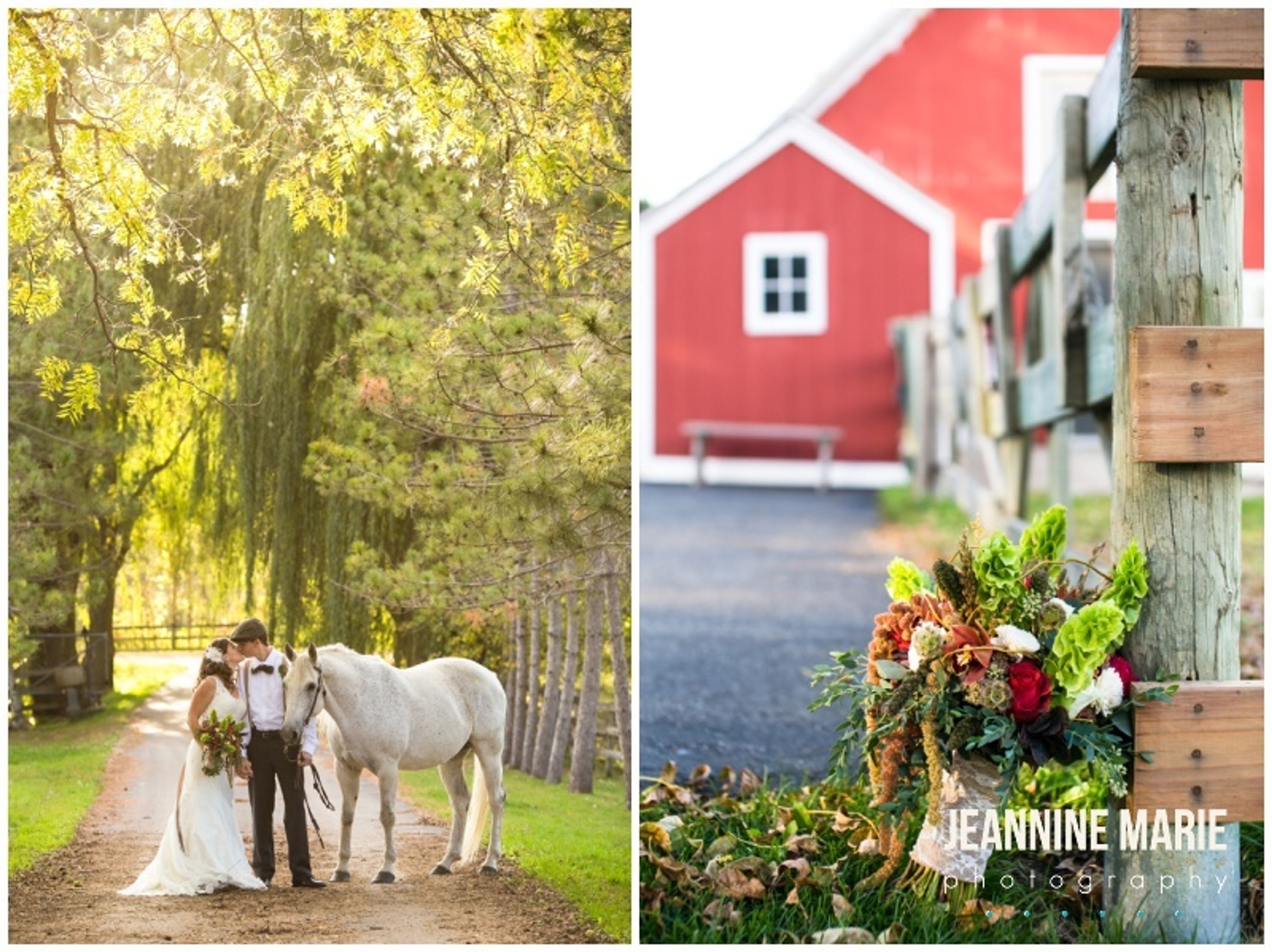 Cover photo of Rustic Elegance