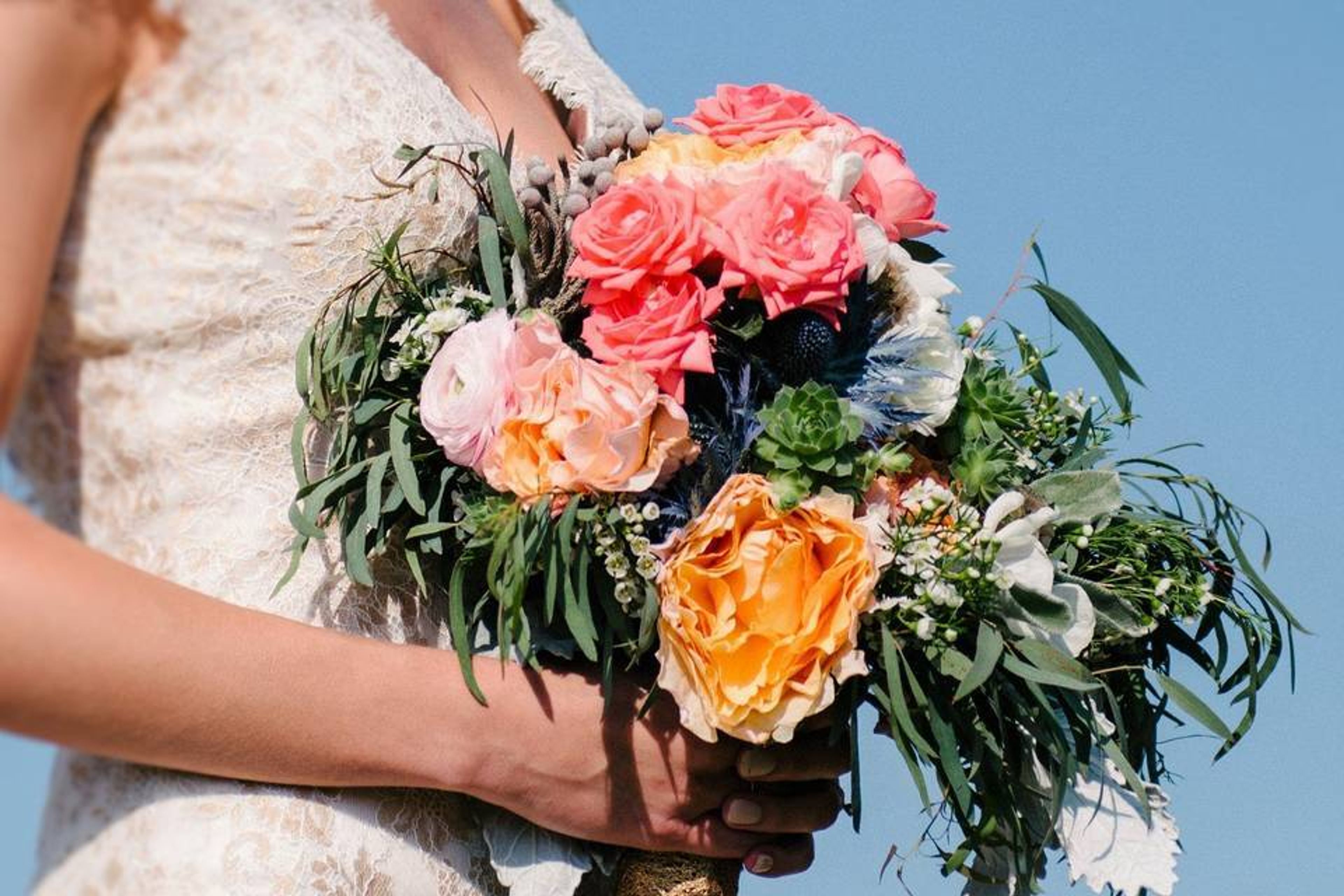 Cover photo of Design n Bloom