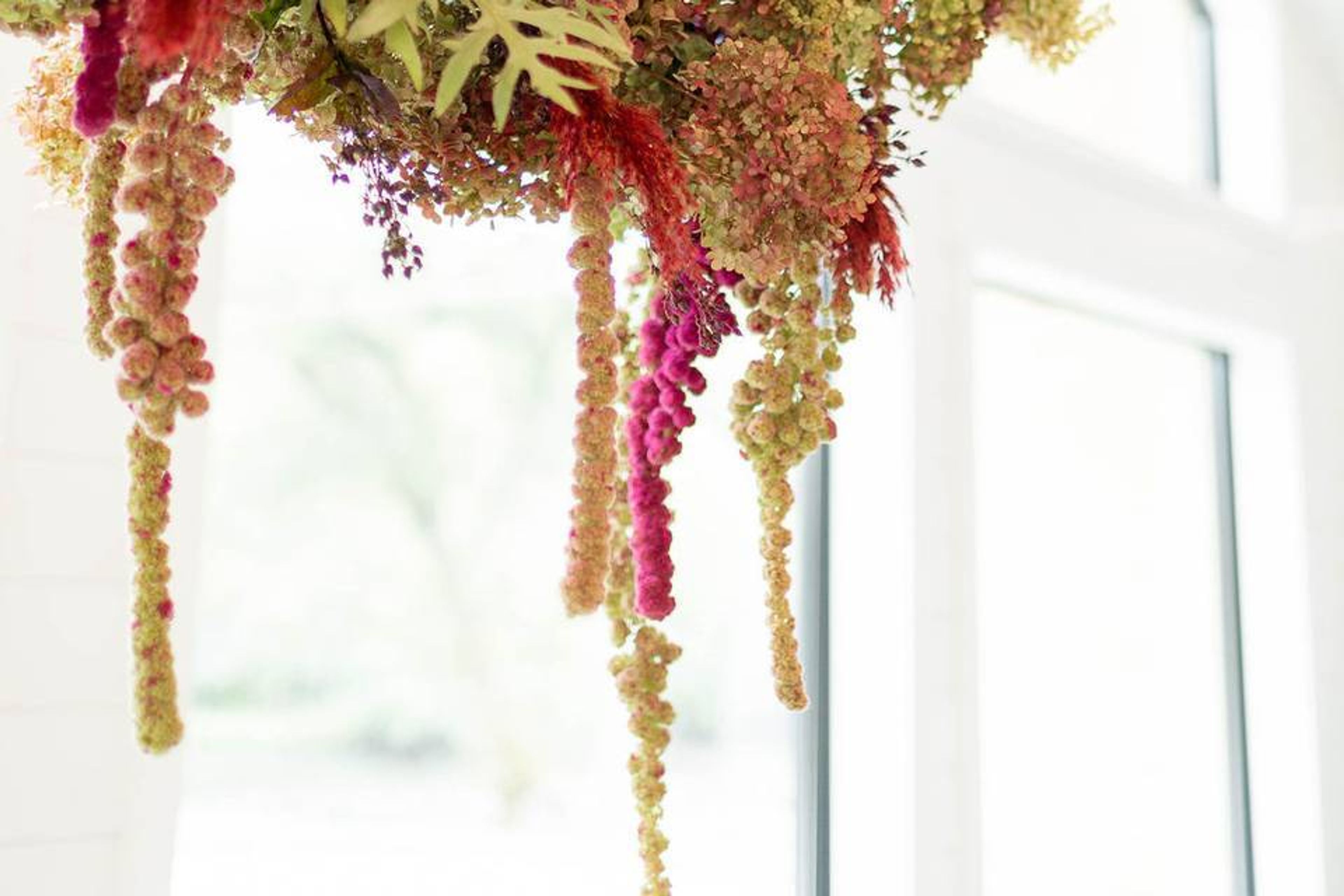 Cover photo of Hive & Hollow