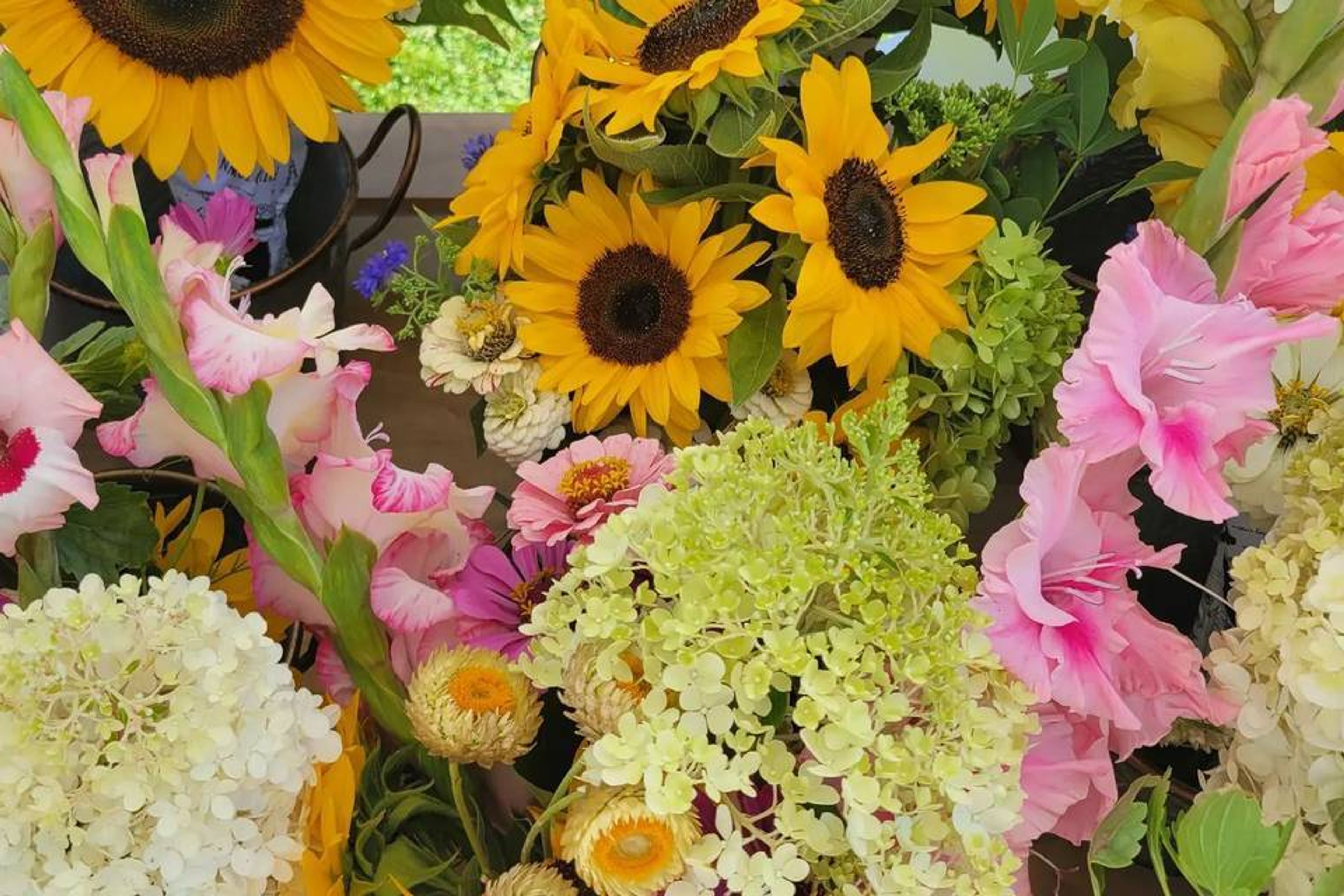 Cover photo of T and Nae