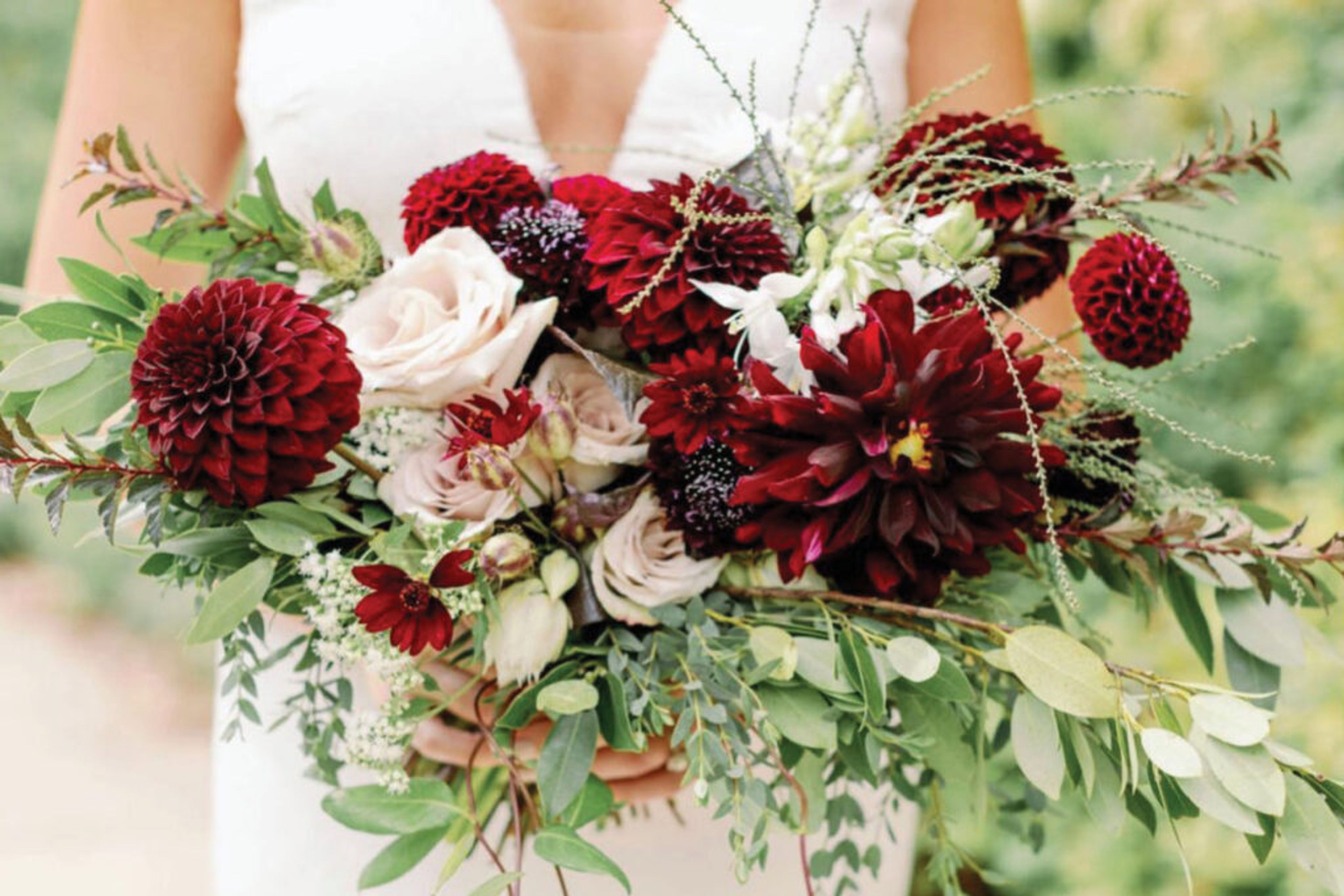 Cover photo of Fern Floral