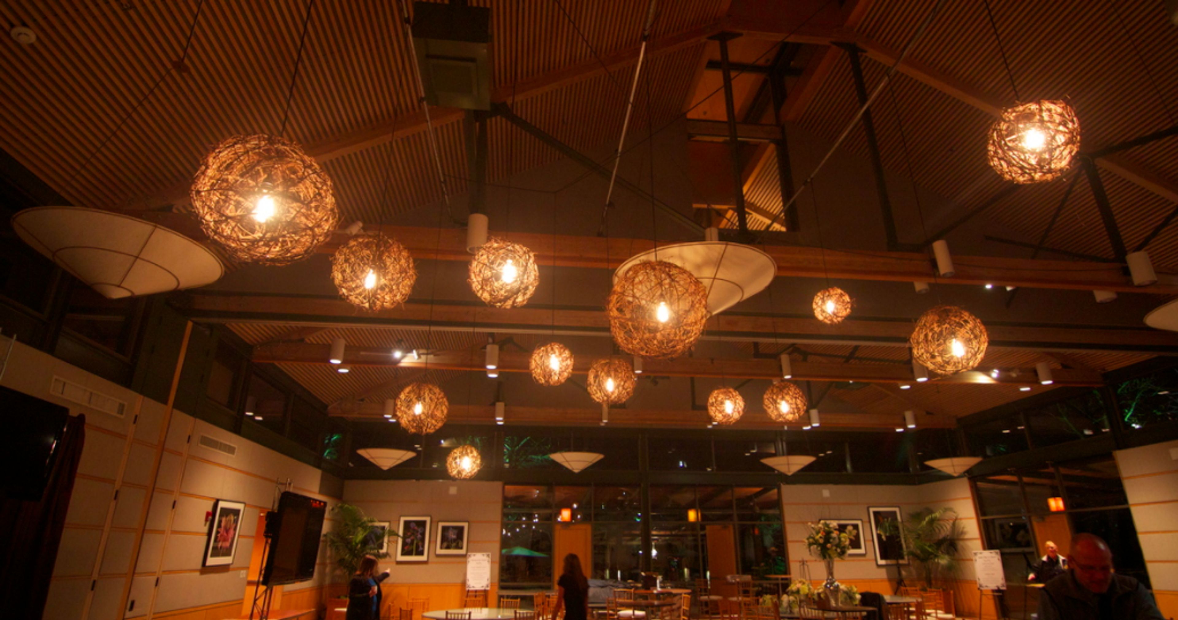 Cover photo of AVSD Productions