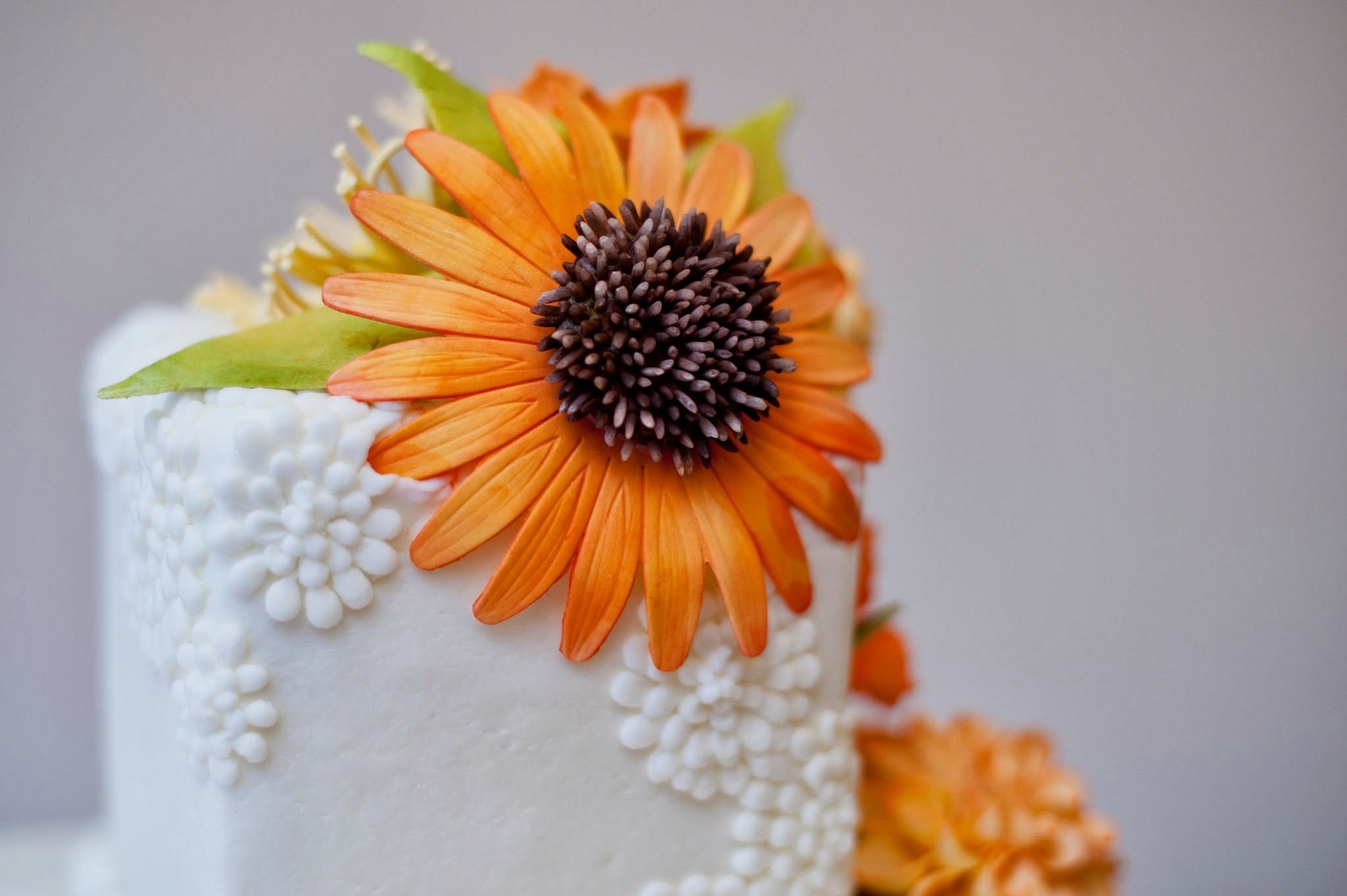 Cover photo of Queen of Cakes