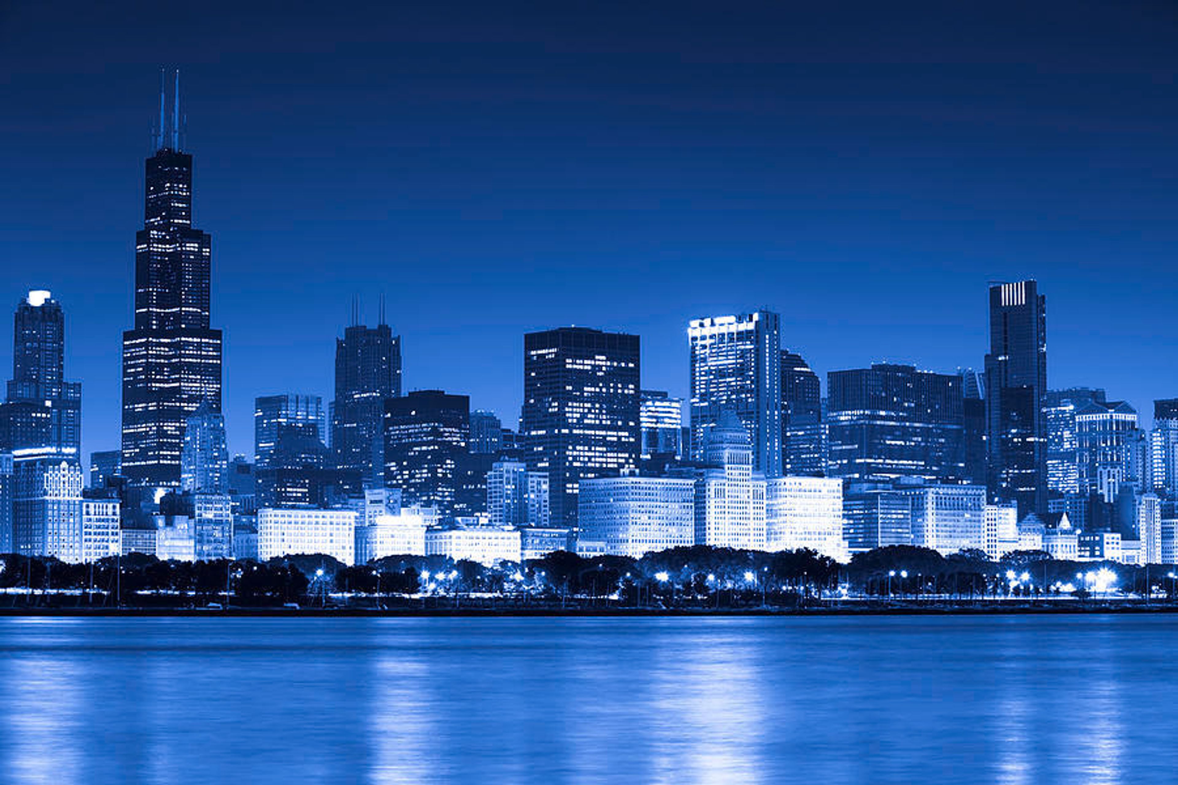 Cover photo of BLUEBUS