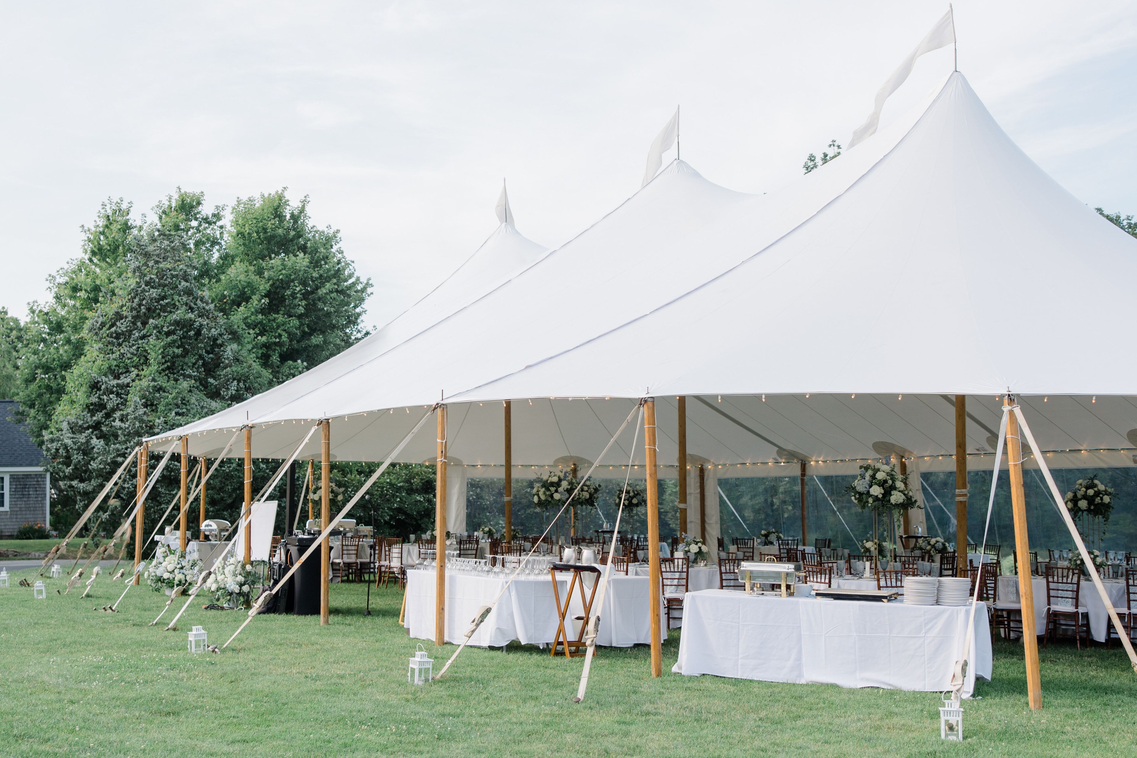 Cover photo of Stephanie Berenson Photography