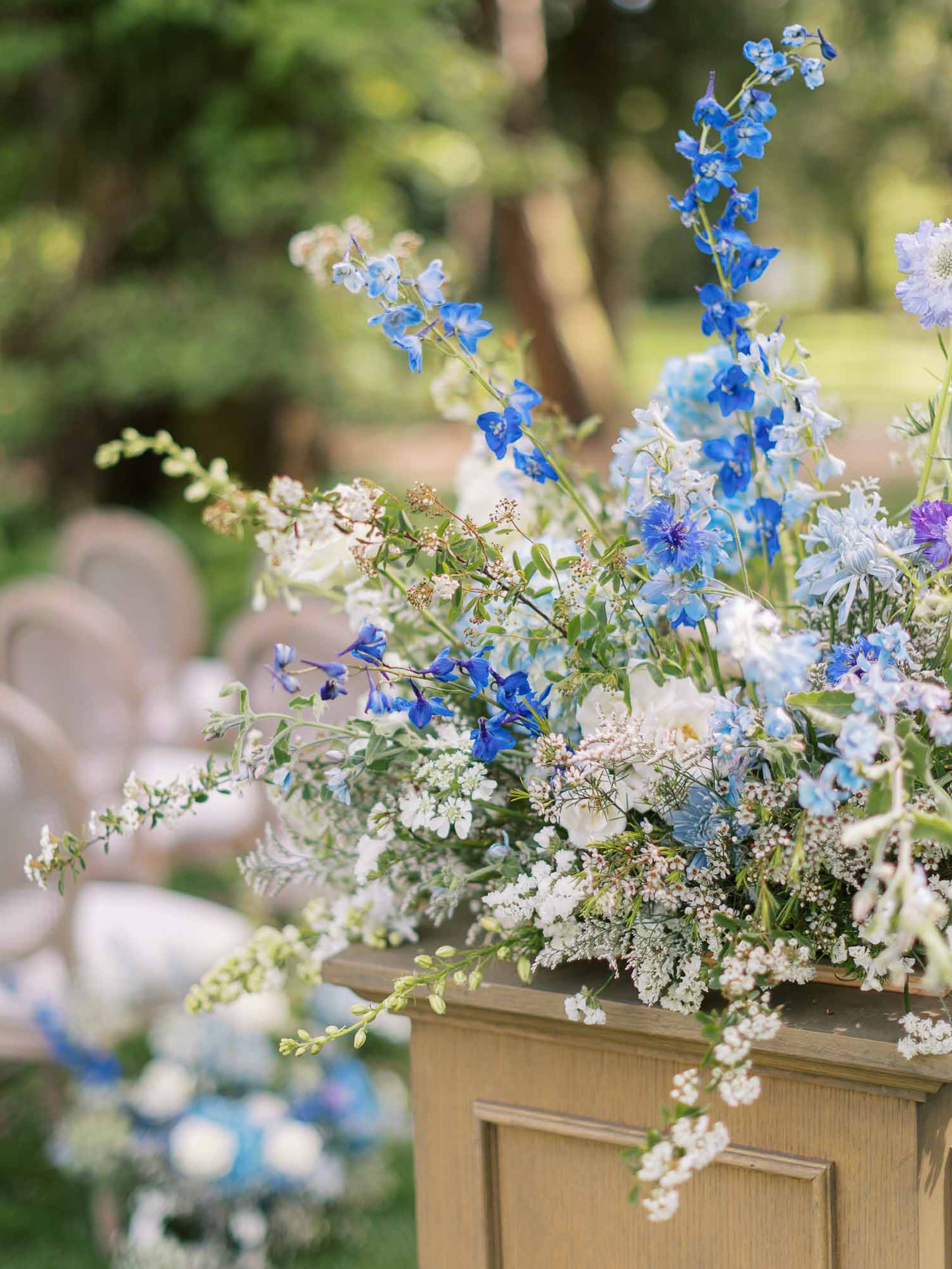 Cover photo of Shaunae Teske Photography