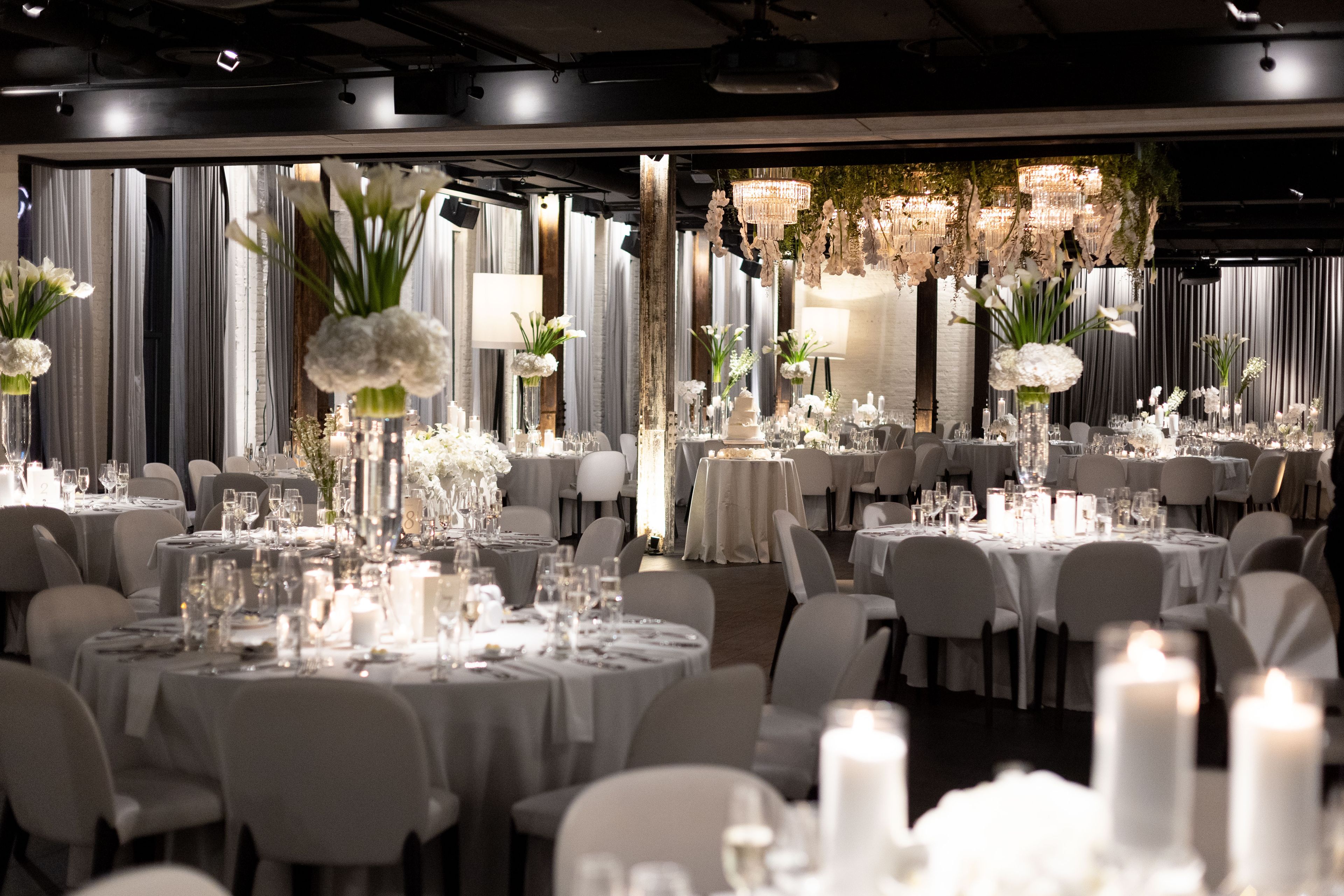 Cover photo of The Dalcy