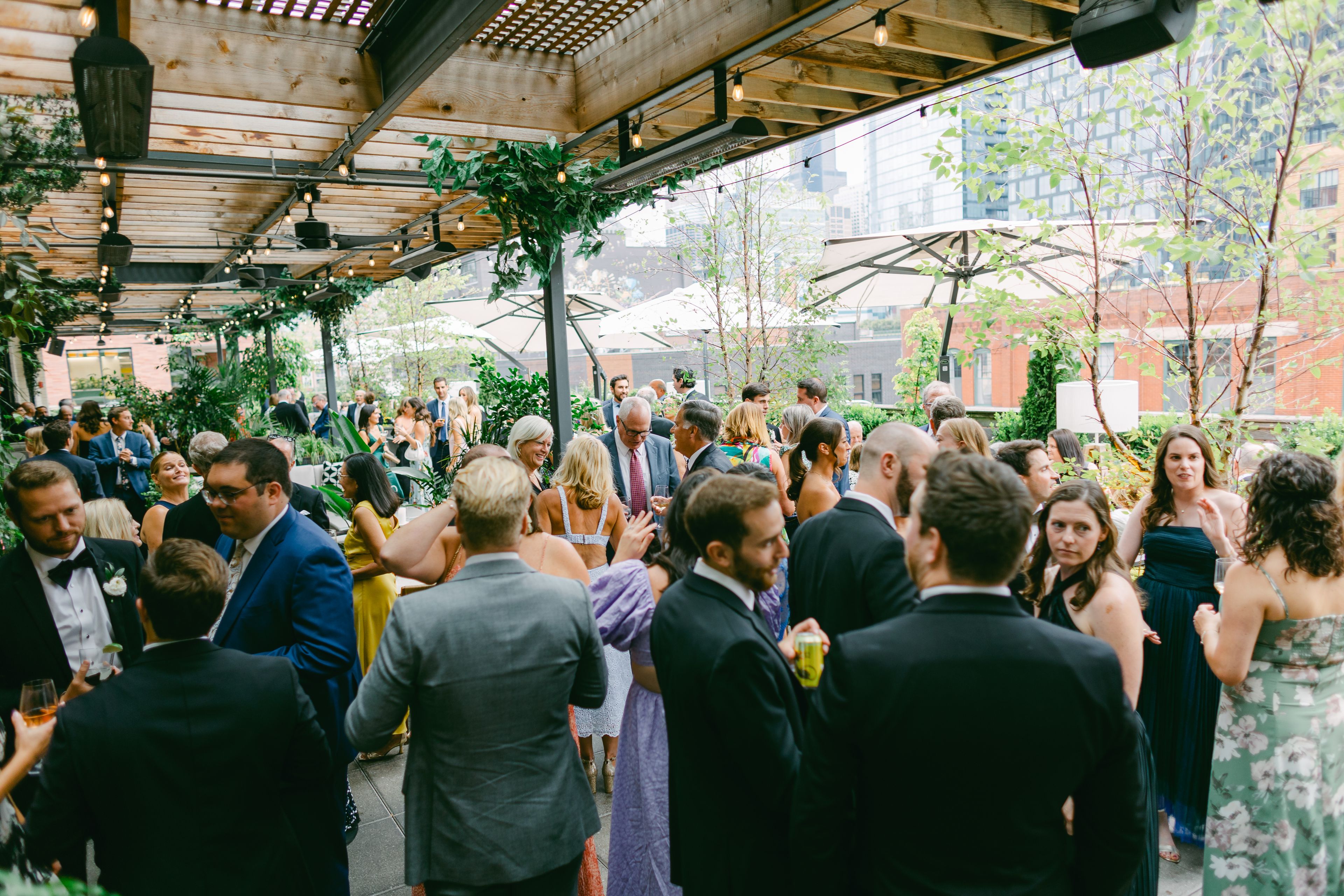 Cover photo of The Dalcy