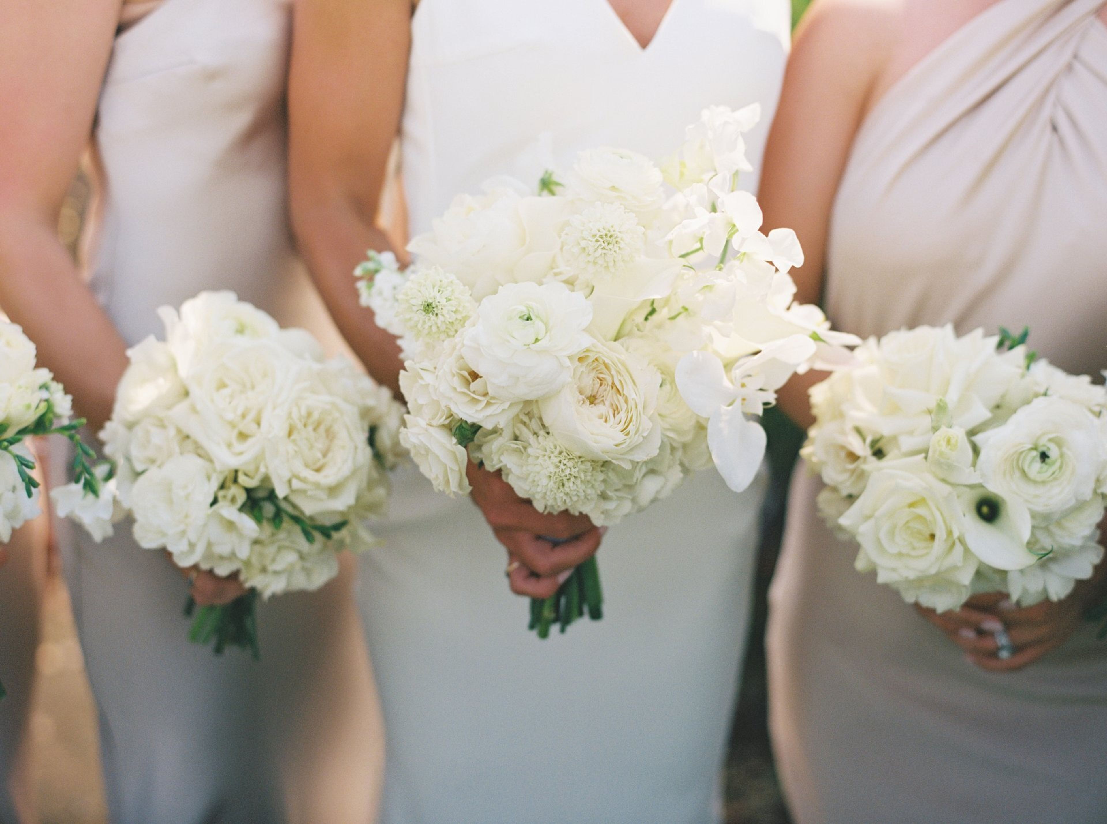 Cover photo of Alex Lasota Photography