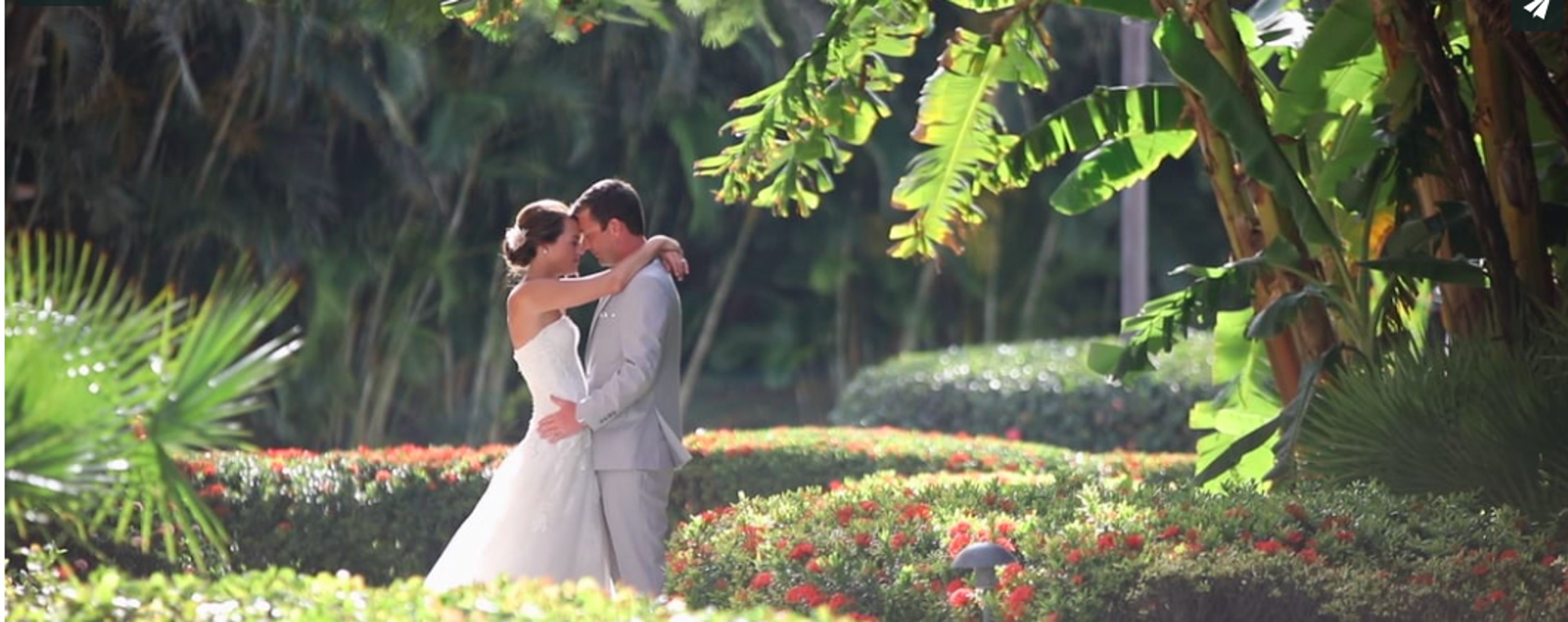 Cover photo of Palm Wedding Films