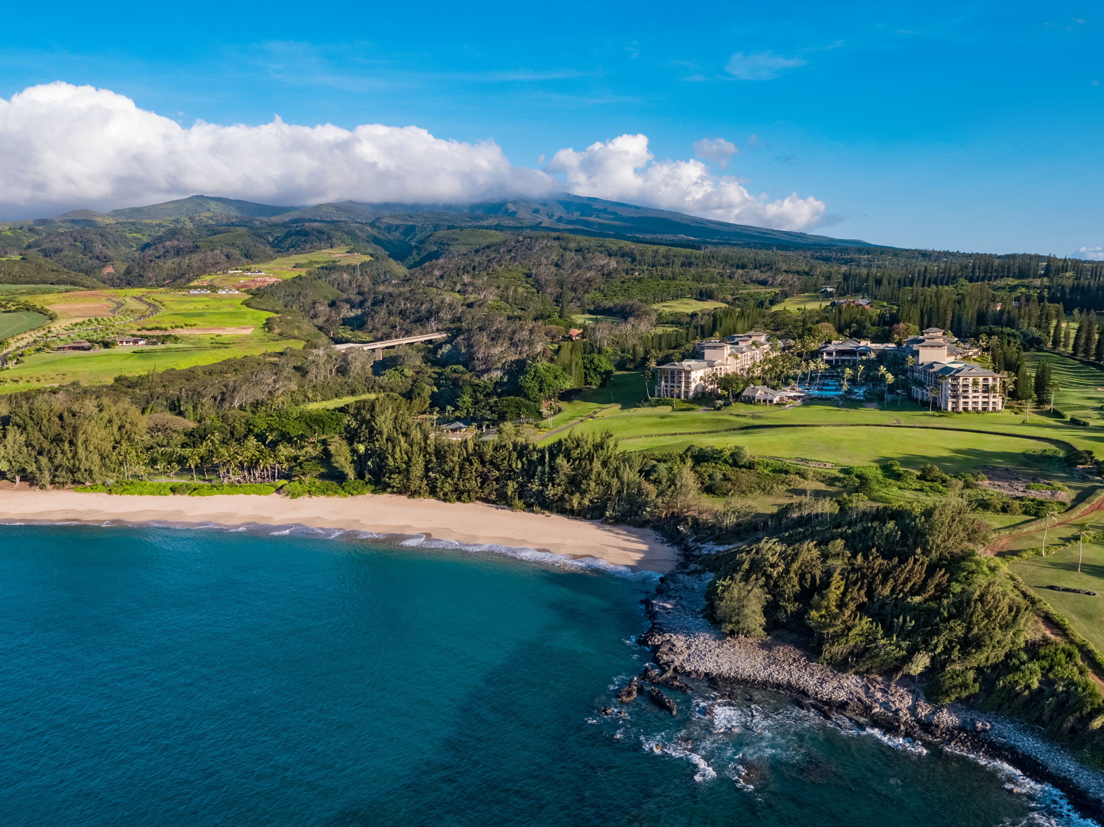 Cover photo of The Ritz-Carlton Maui, Kapalua