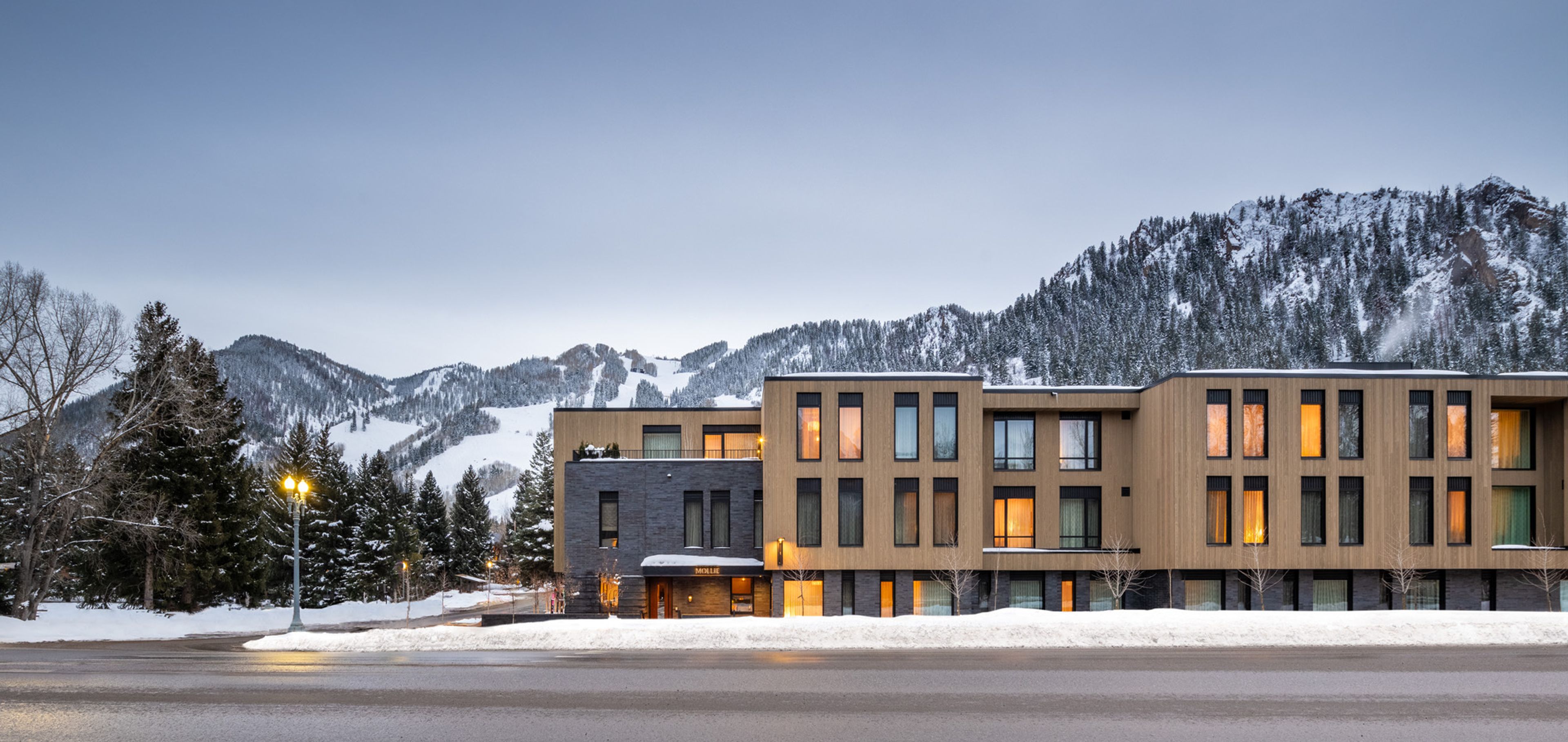 Cover photo of MOLLIE Aspen