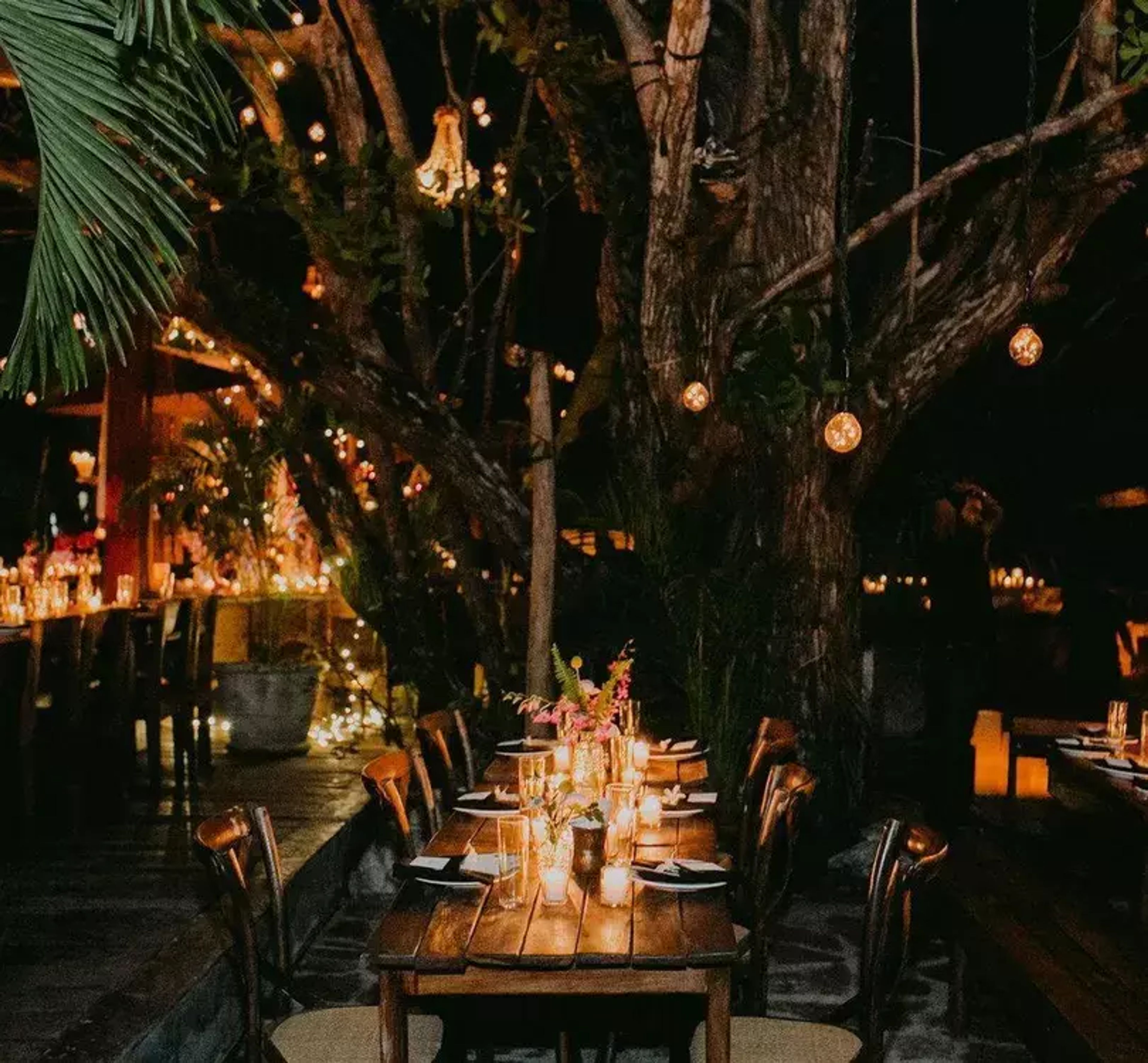 Cover photo of Sugar & Plum Events